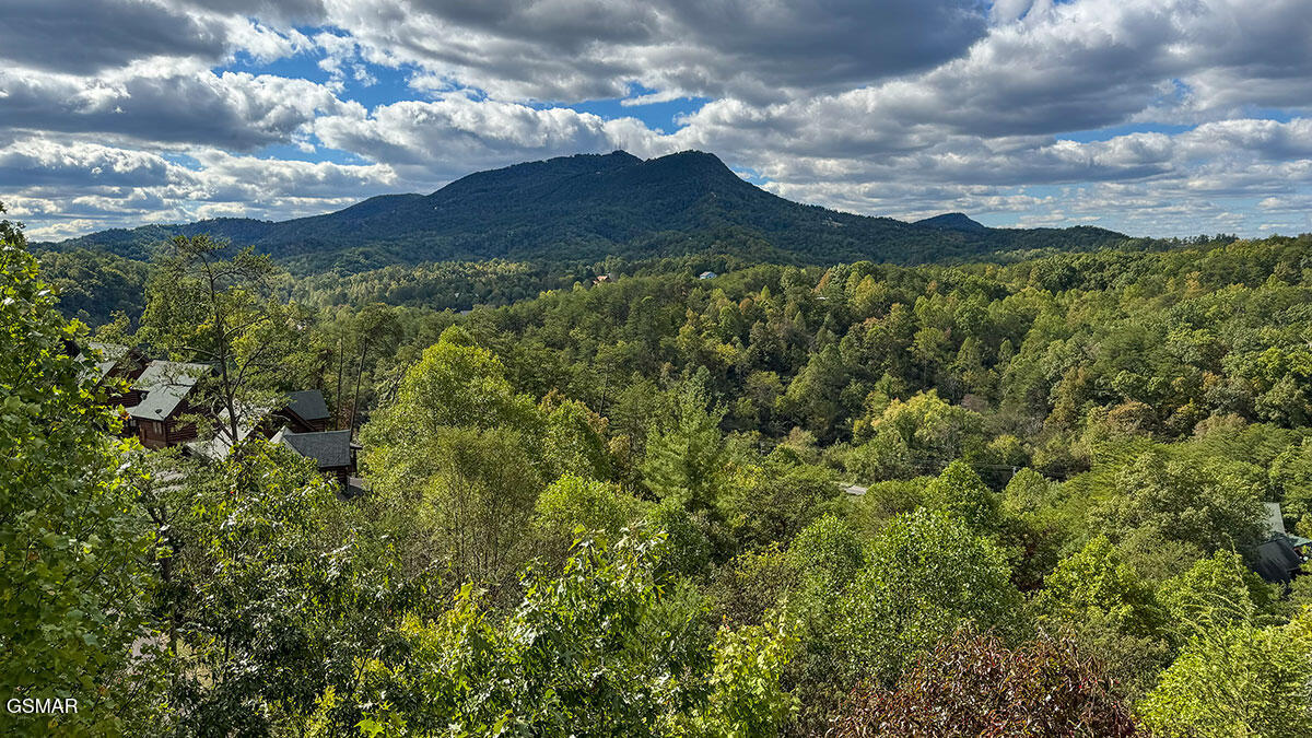 1352 Timberwolf Way Sevierville TN 37876