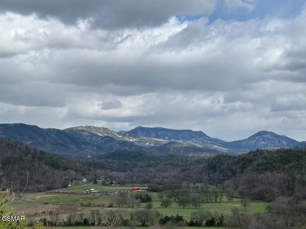 1701 Birch Drive Sevierville TN 37876
