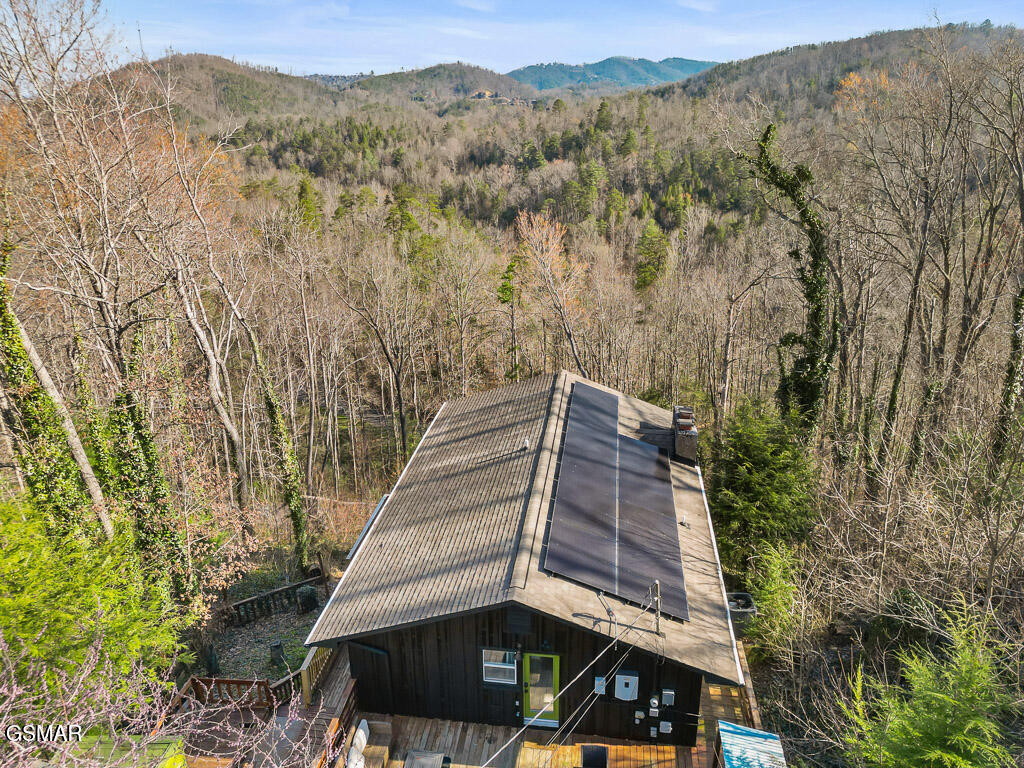 207 Buena Vista Drive Pigeon Forge TN 37876