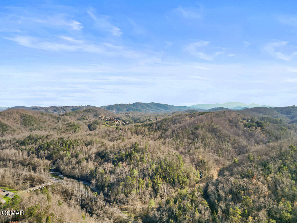 207 Buena Vista Drive Pigeon Forge TN 37876