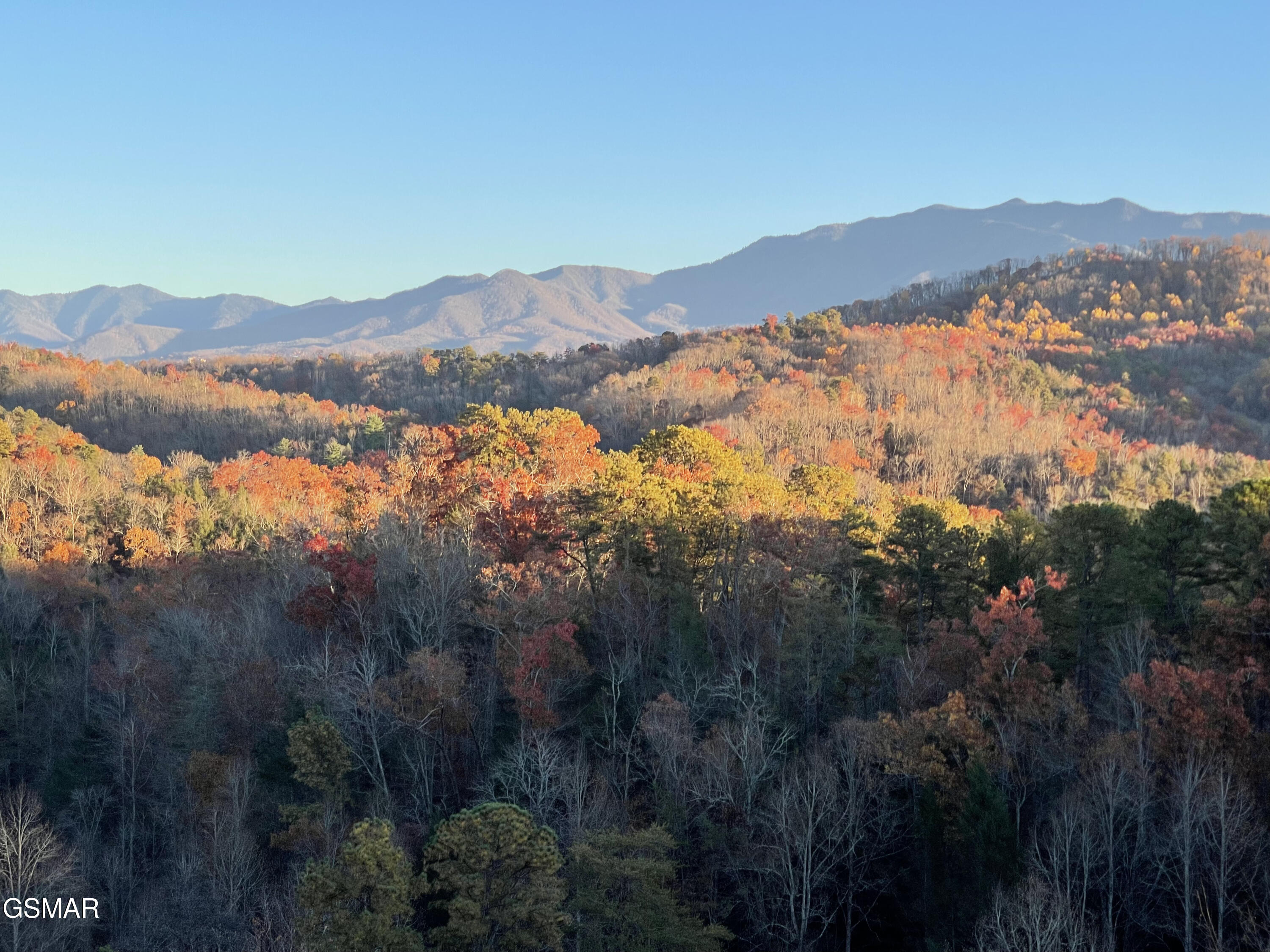 4620 Nottingham Heights Way Pigeon Forge TN 37863