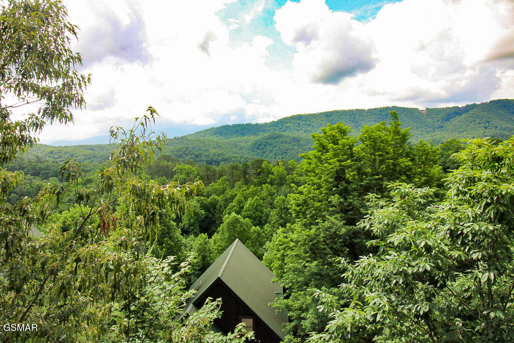 4620 Nottingham Heights Way Pigeon Forge TN 37863