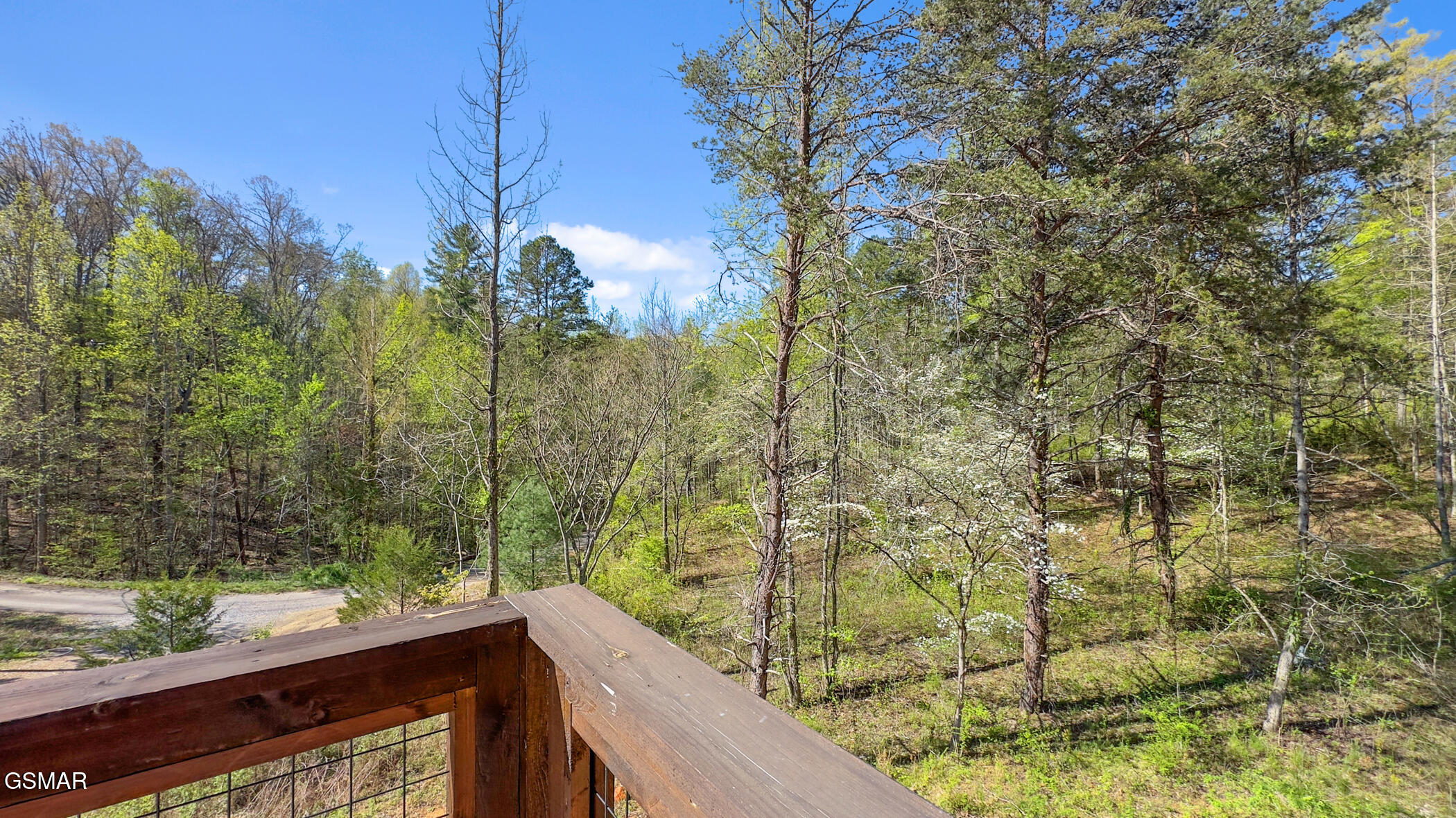 2669 Sulpher Springs Way Sevierville TN 37862