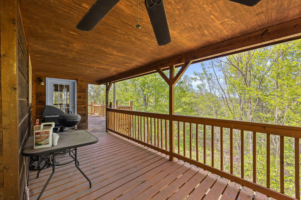 3640 Vixen Way Cosby TN 37722