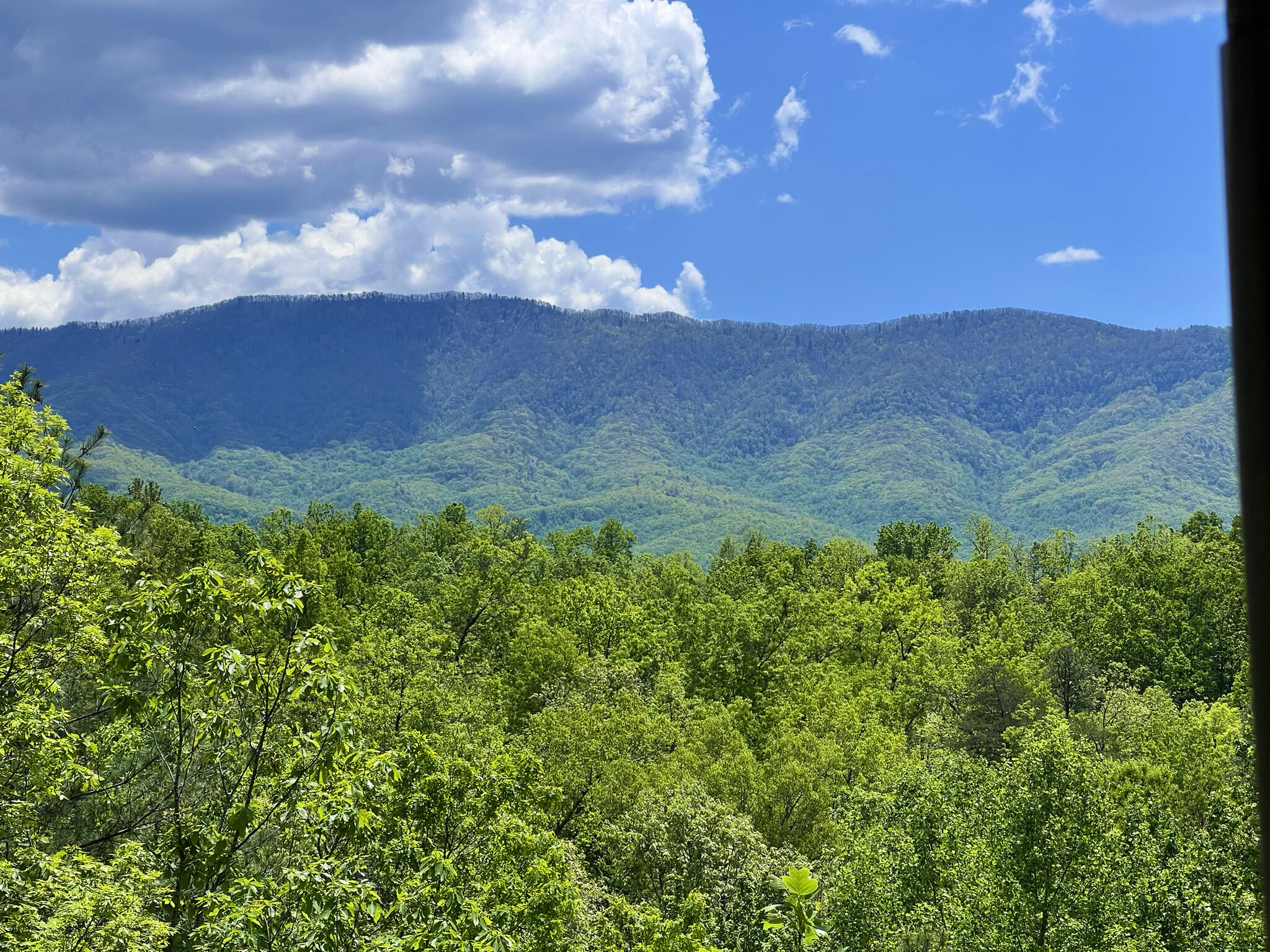 618 Big Bear Ridge Road Gatlinburg TN 37738