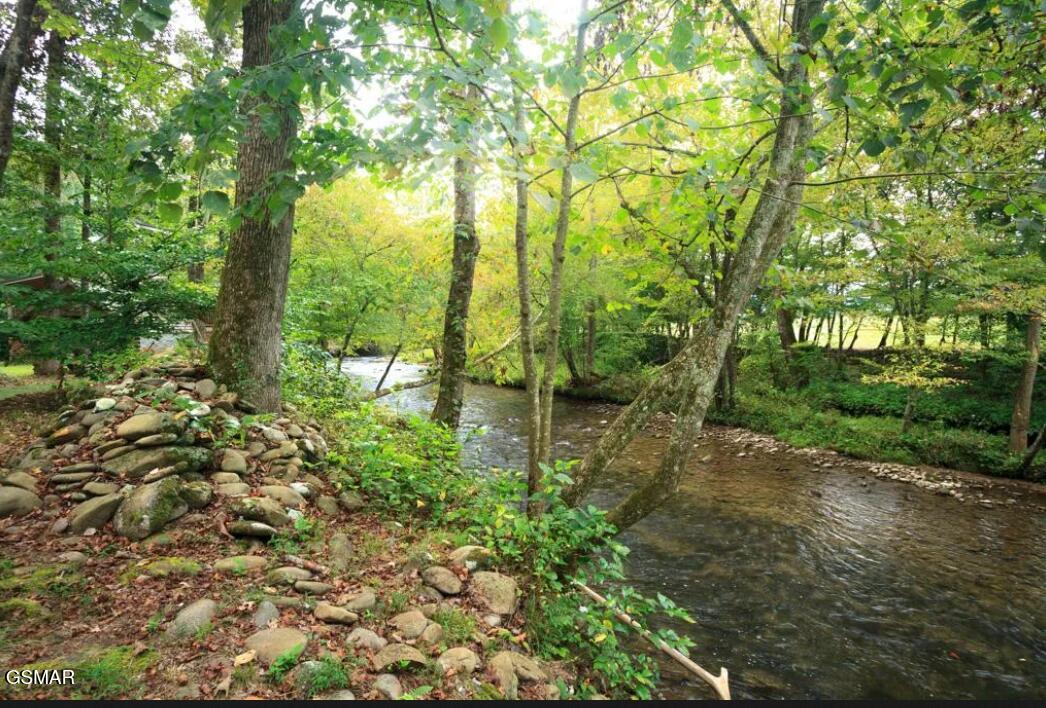 222 Limestone Way Cosby TN 37722