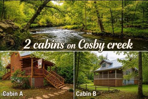 222 Limestone Way Cosby TN 37722