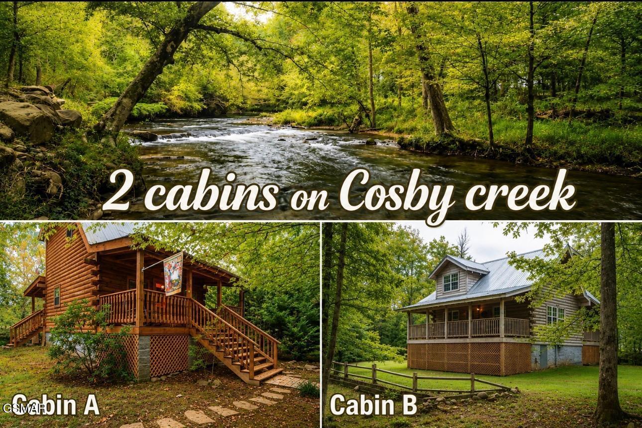 222 Limestone Way Cosby TN 37722