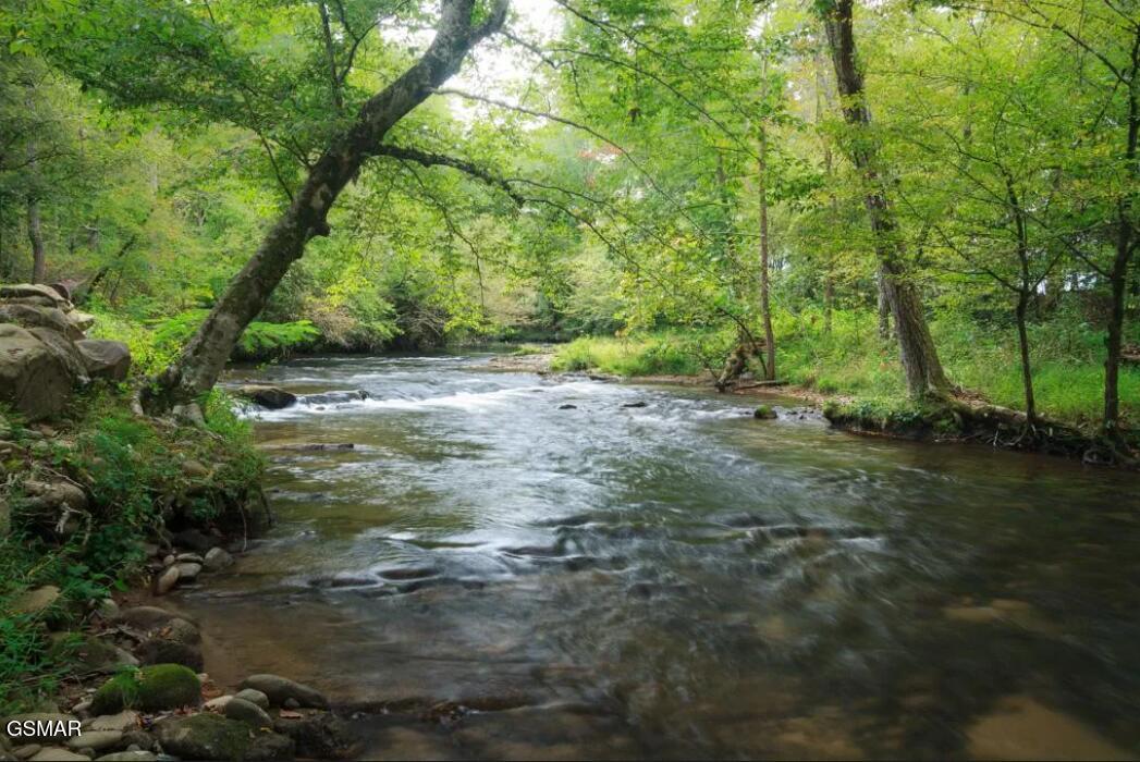 222 Limestone Way Cosby TN 37722