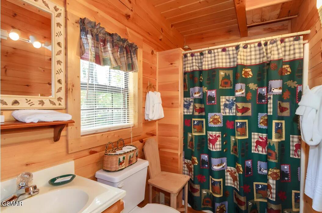 222 Limestone Way Cosby TN 37722