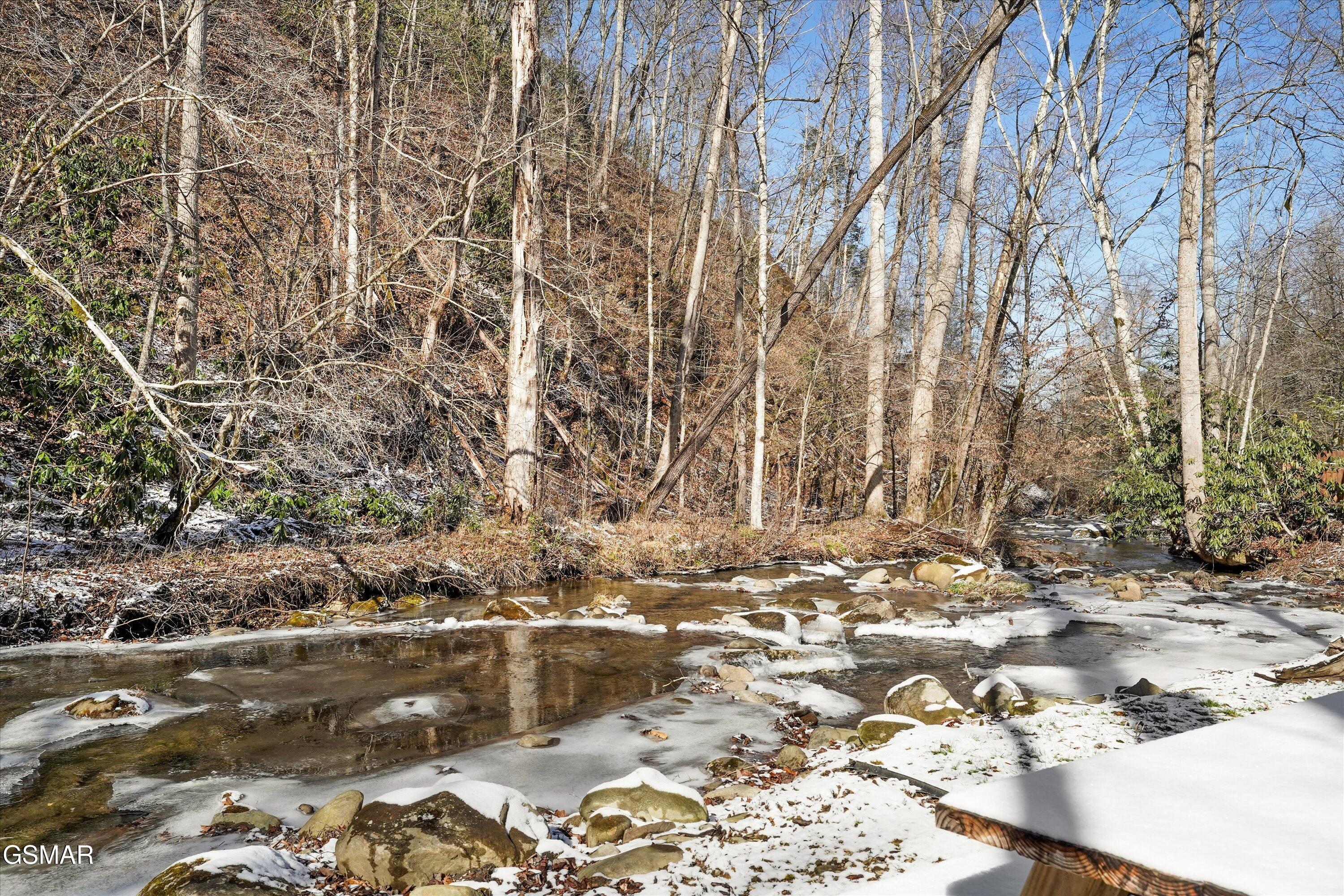 5236 Mathis Branch Road Cosby TN 37722