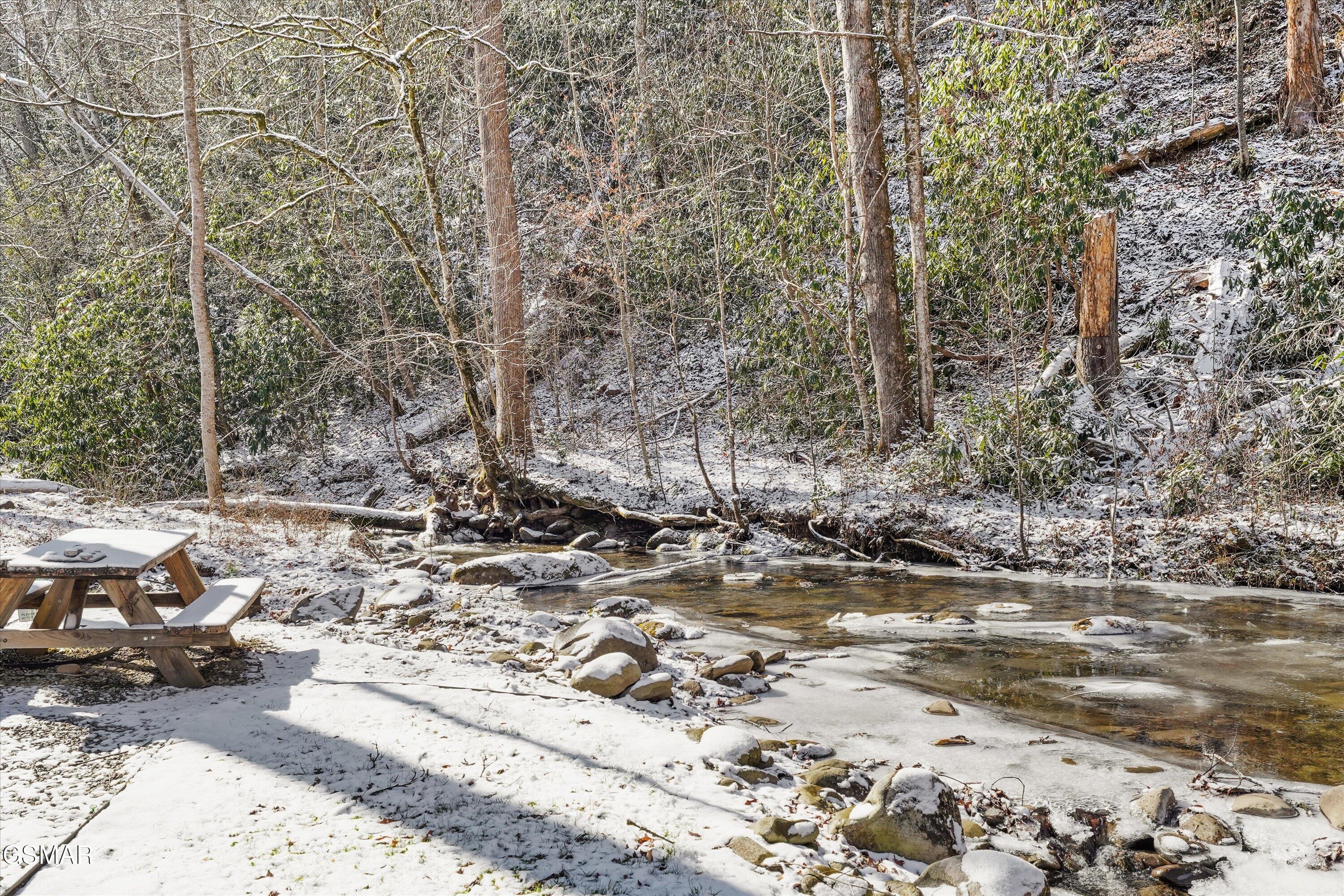 5236 Mathis Branch Road Cosby TN 37722