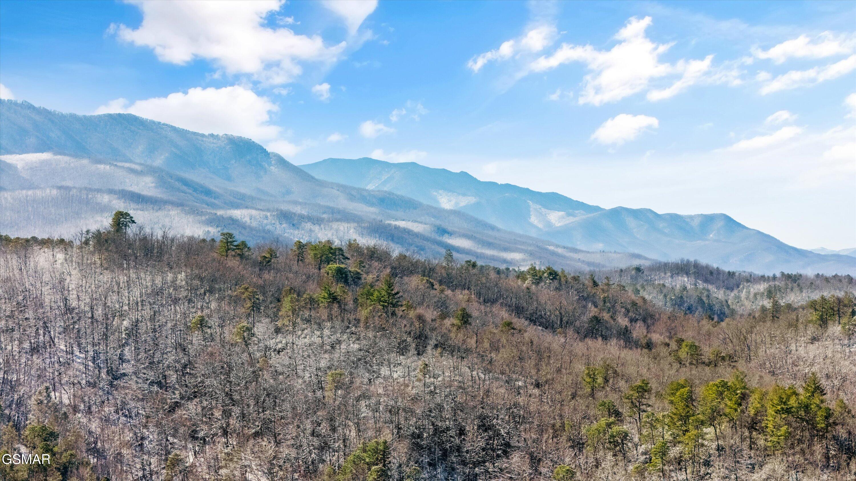 5236 Mathis Branch Road Cosby TN 37722