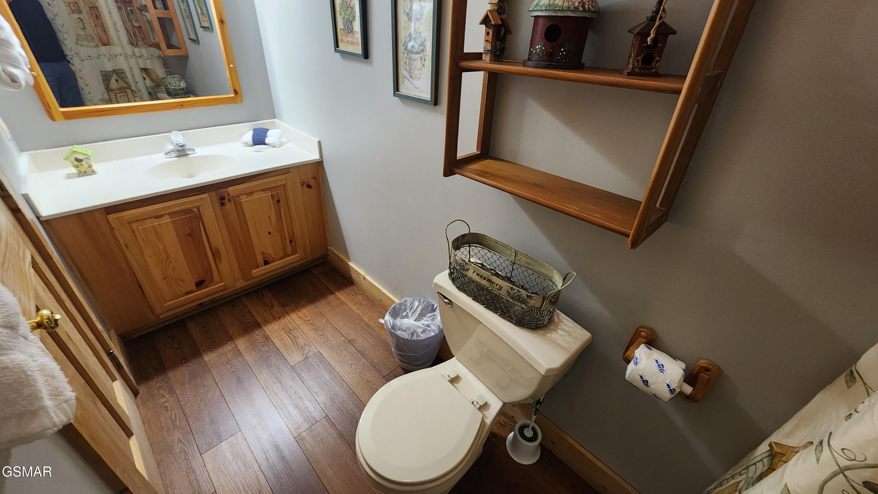 713 Golden Eagle Way Pigeon Forge TN 37863