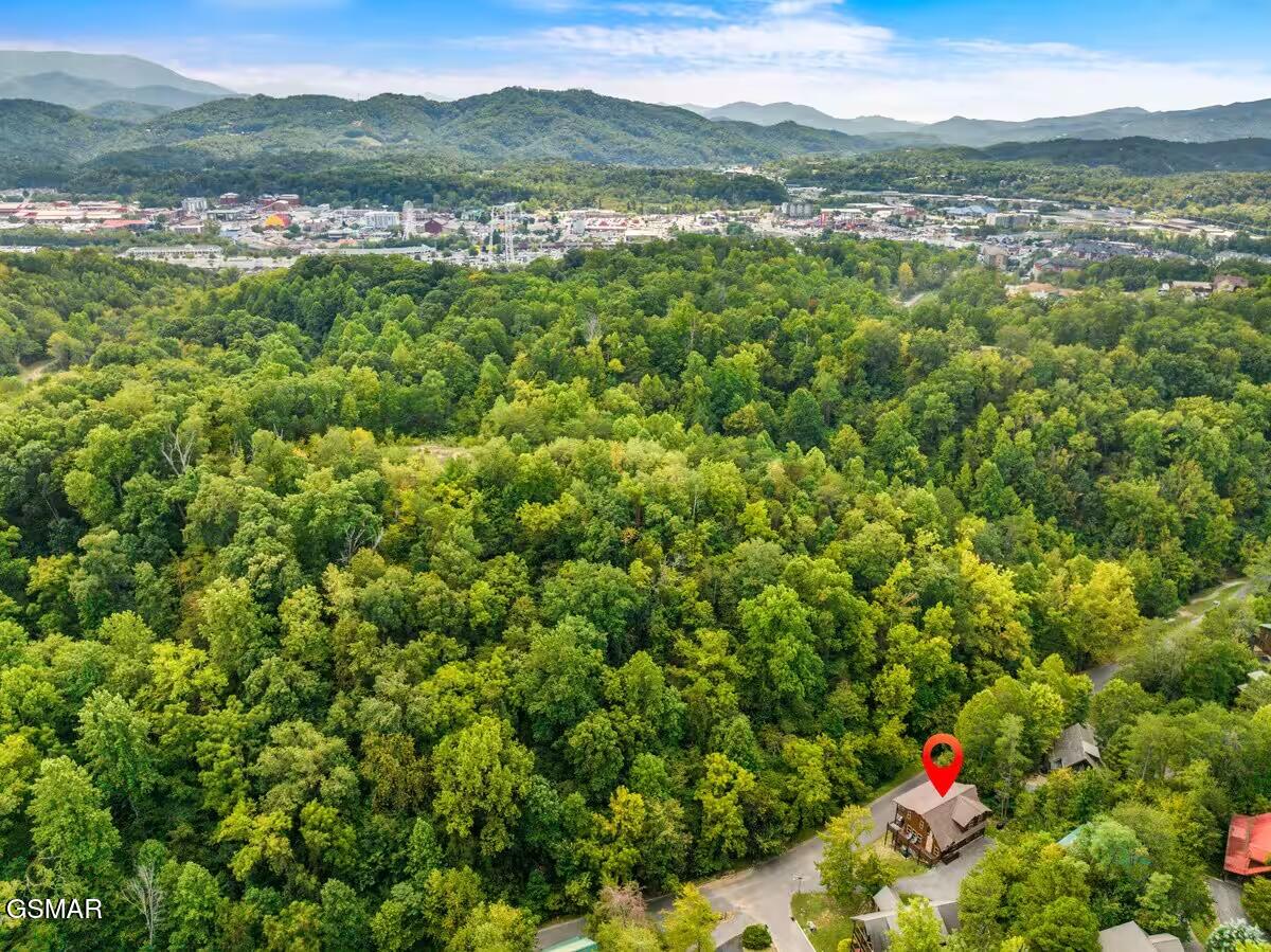 2359 Alpine Village Way Pigeon Forge TN 37863