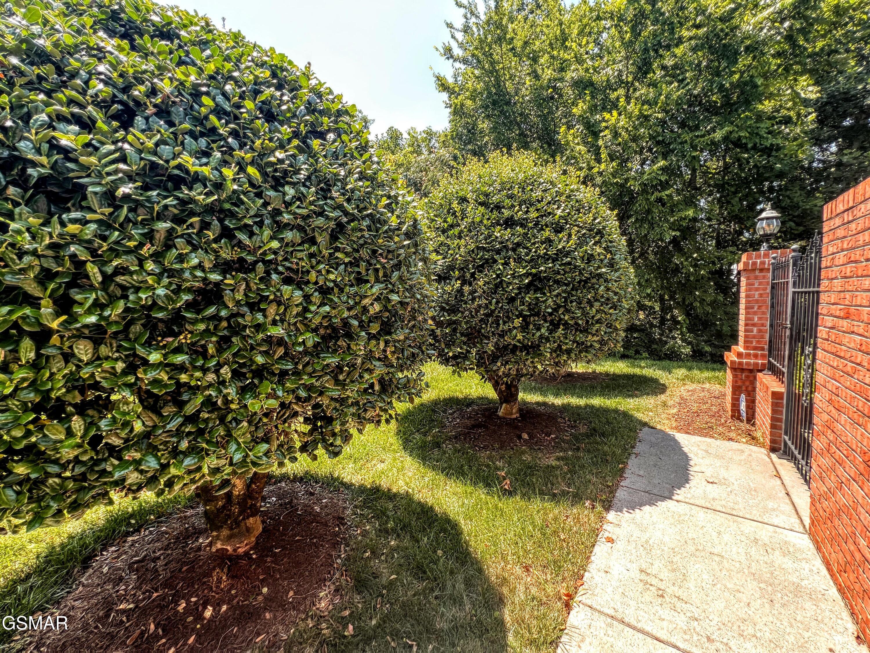 1042 Fine Glen Drive Sevierville TN 37862