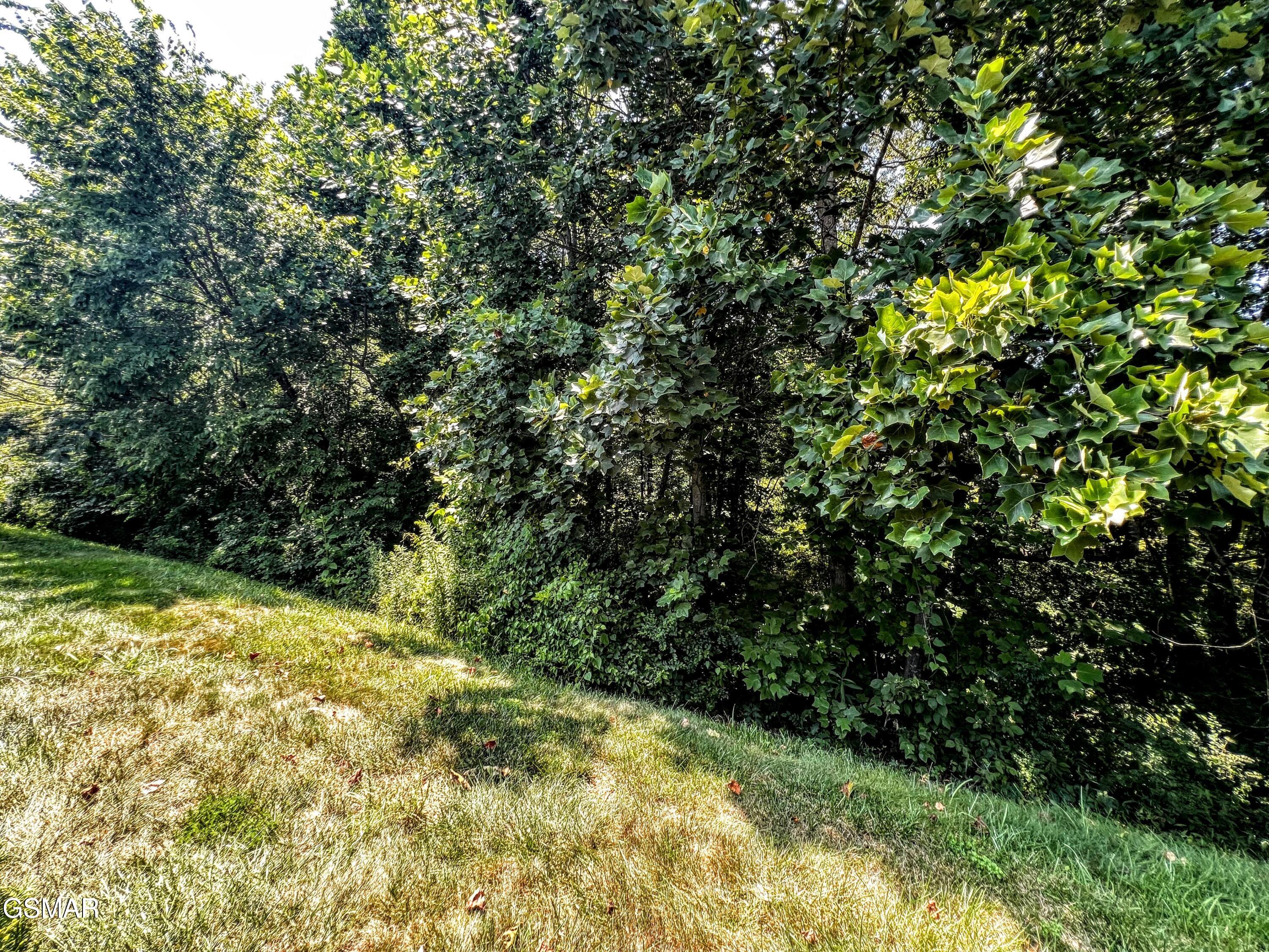 1042 Fine Glen Drive Sevierville TN 37862