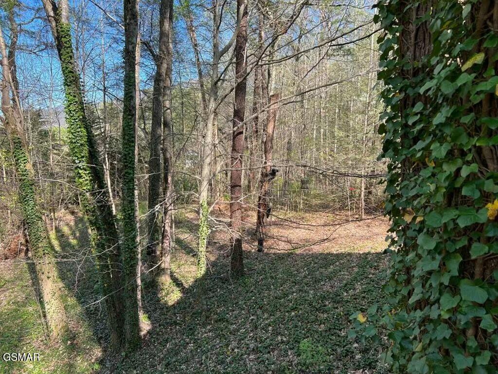 3958 Ole Smoky Way Sevierville TN 37862
