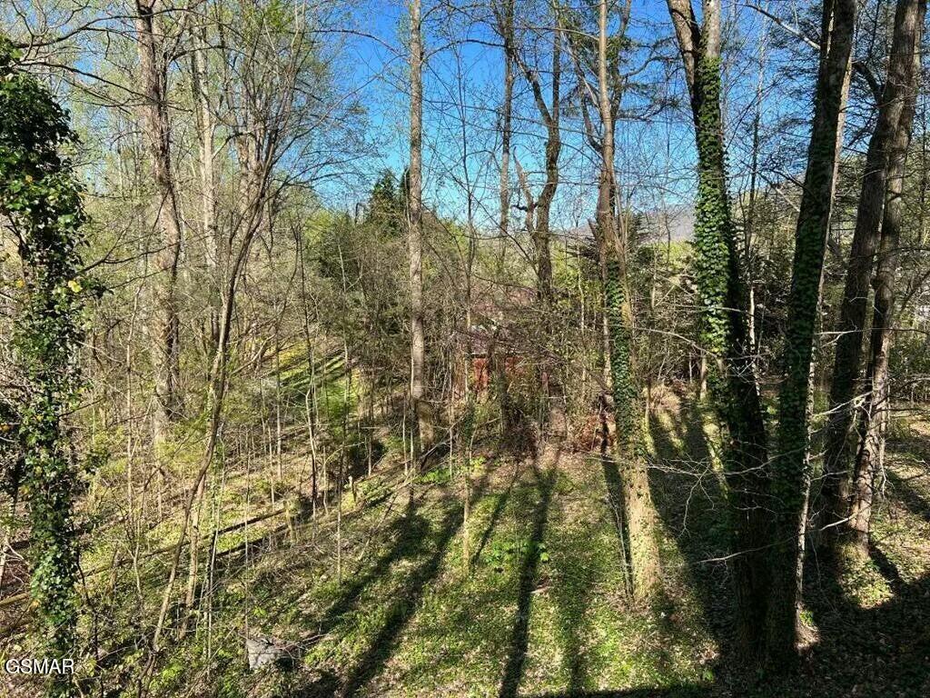 3958 Ole Smoky Way Sevierville TN 37862