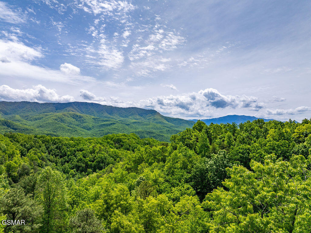 967 Scenic Trail Gatlinburg TN 37738