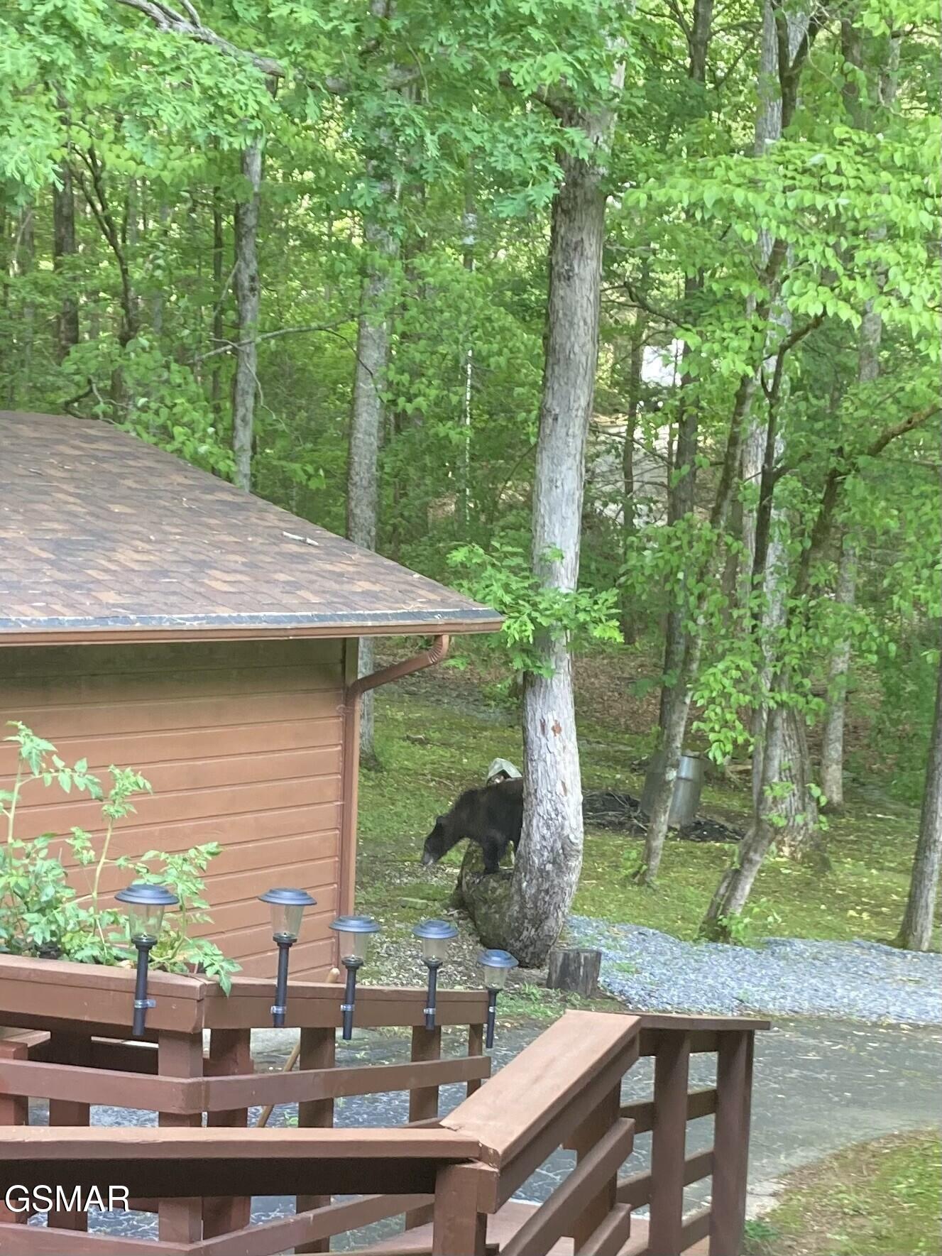 3188 Wears Drive Sevierville TN 37862