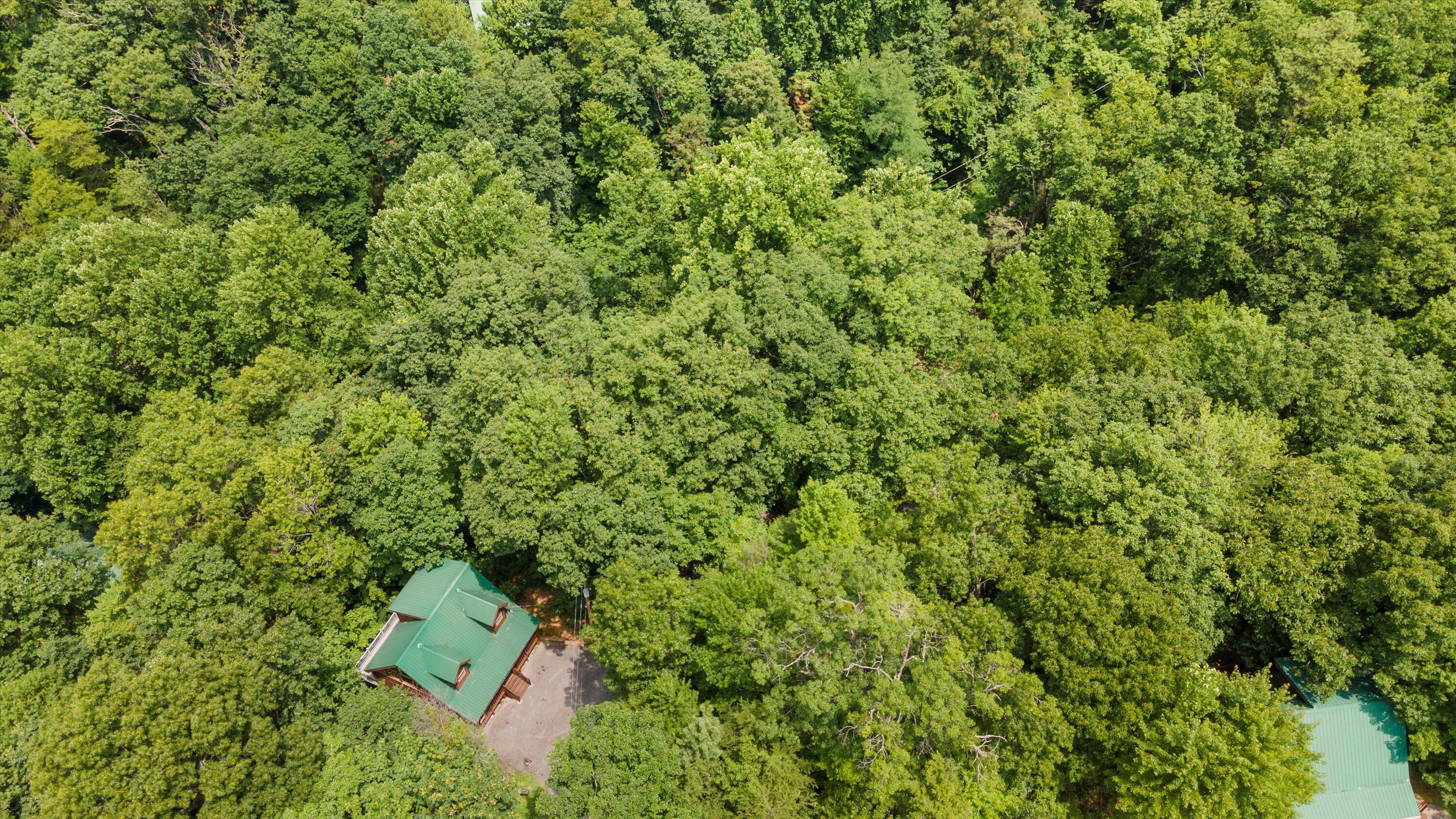 2457 N School House Gap Road Sevierville TN 37876