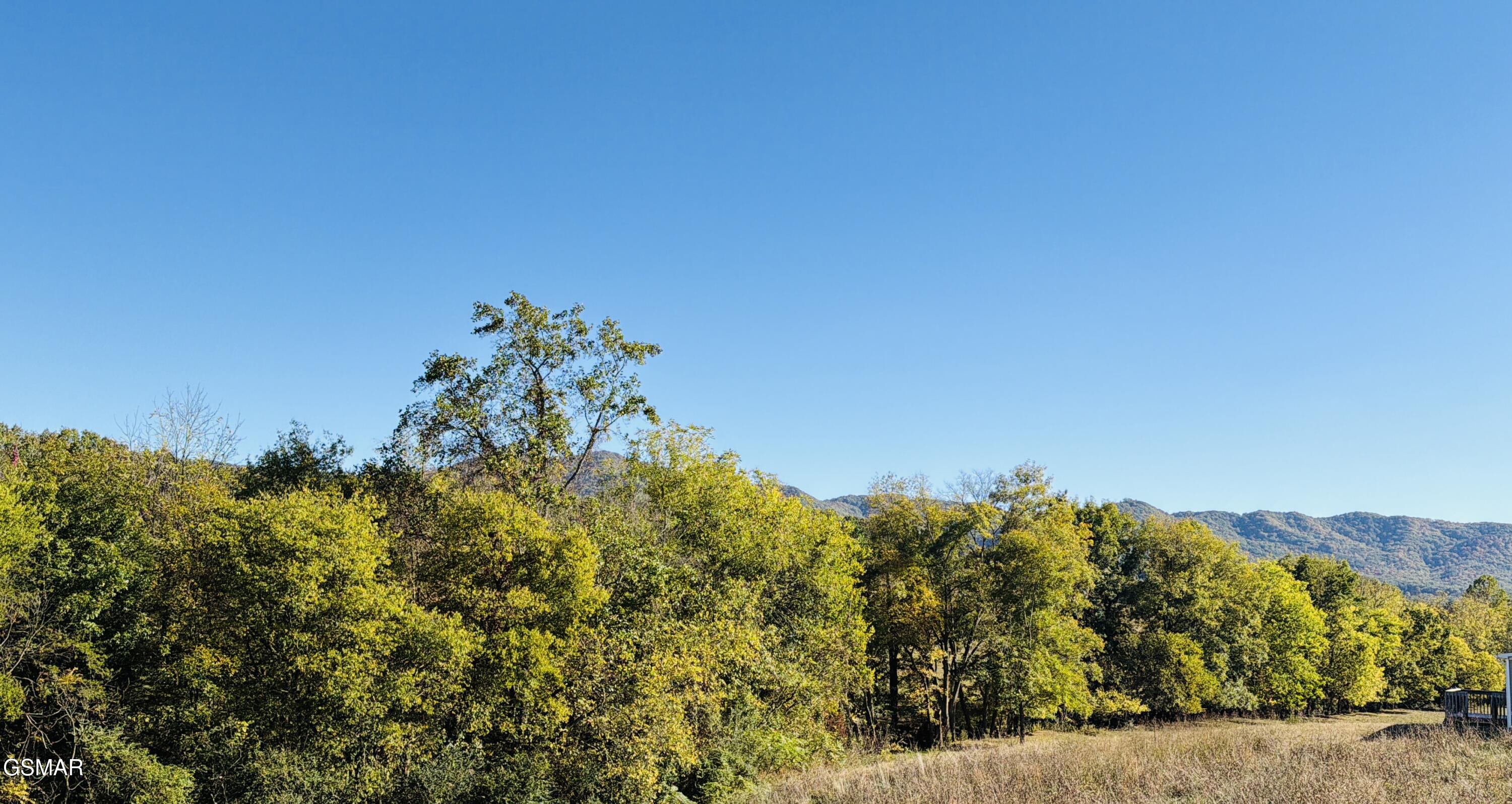 185 Little Meadow Creek Road Greeneville TN 37743