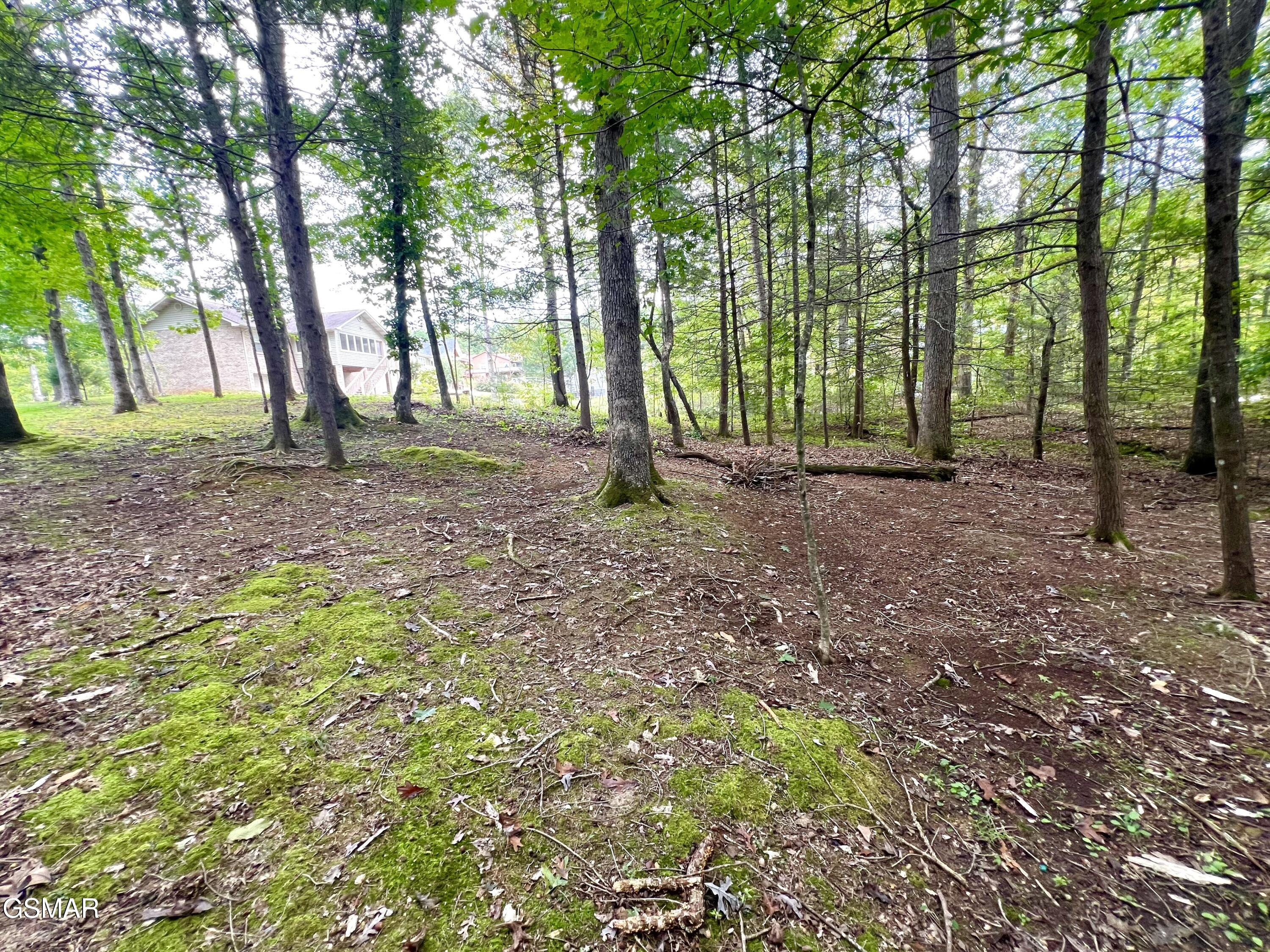 3661 Boxwood Lane Sevierville TN 37862