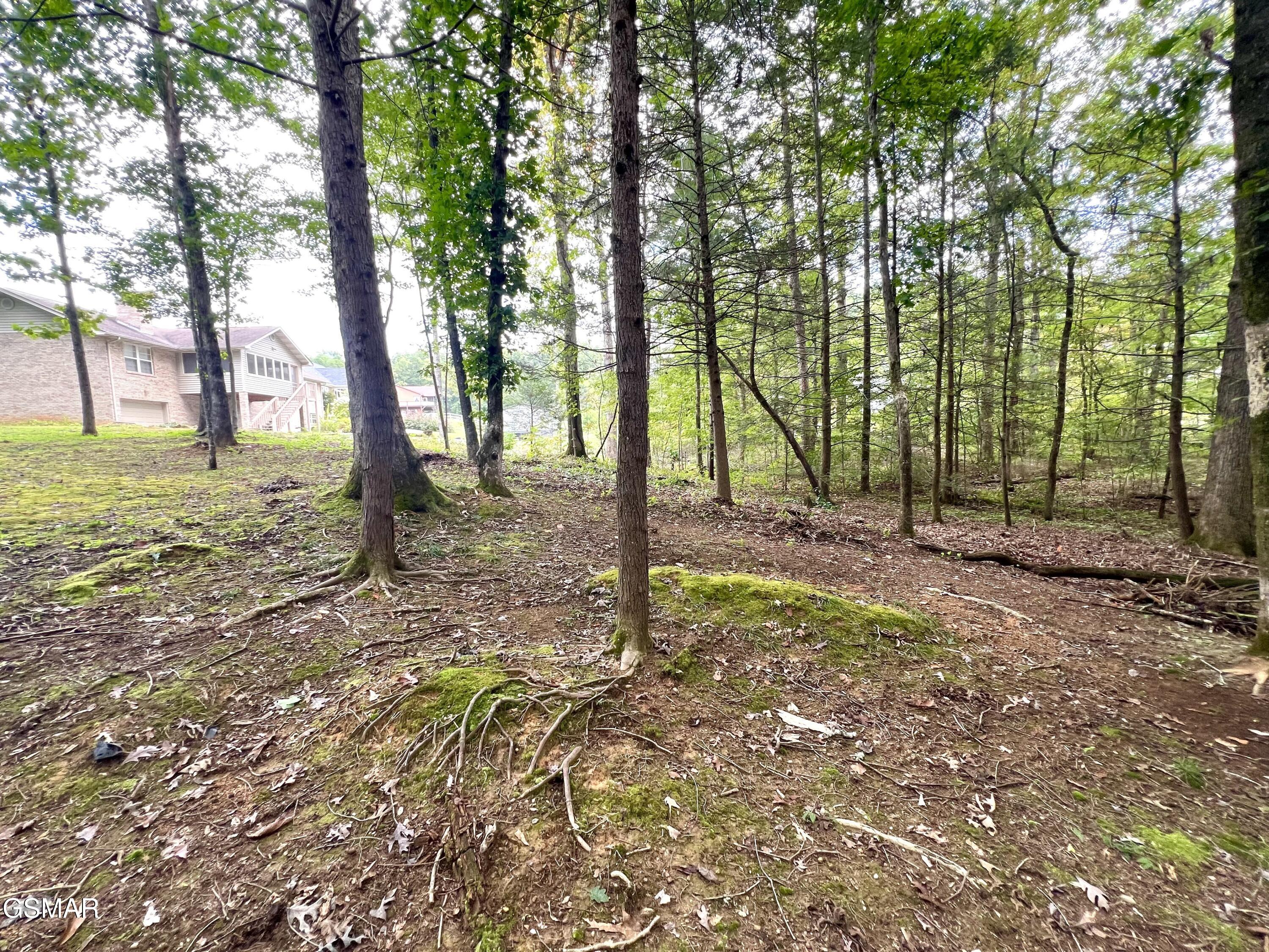 3661 Boxwood Lane Sevierville TN 37862