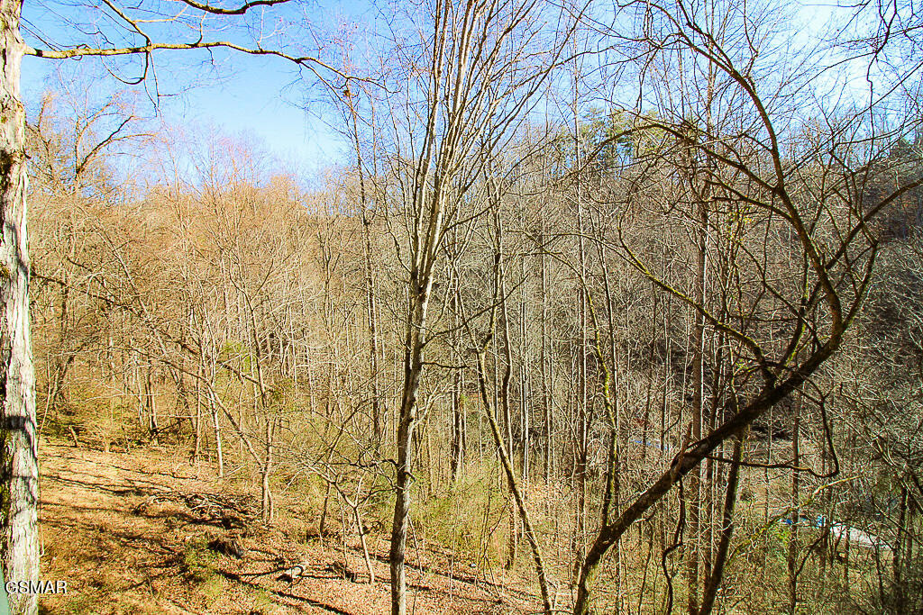 316 Saddleback Way Sevierville TN 37862