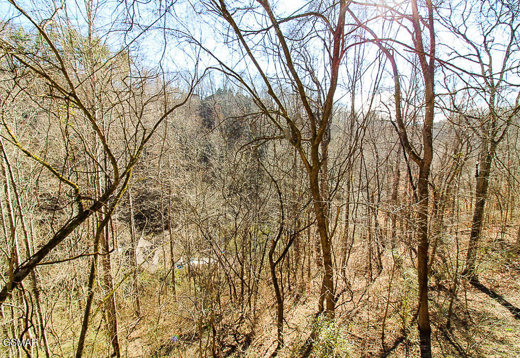 316 Saddleback Way Sevierville TN 37862