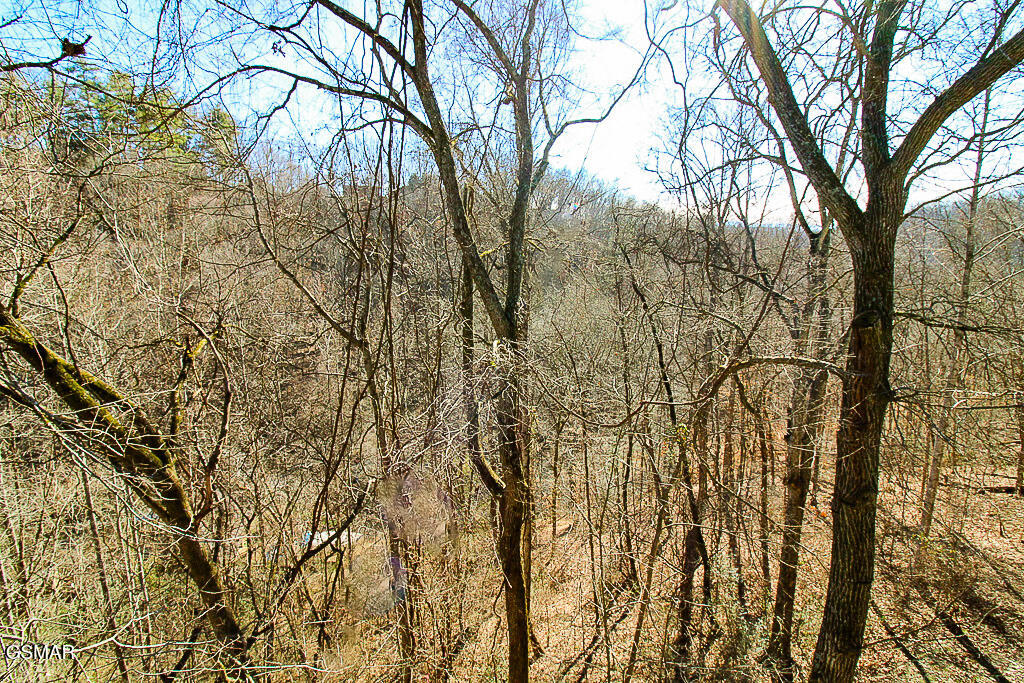 316 Saddleback Way Sevierville TN 37862