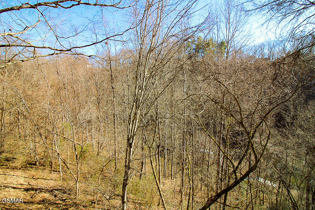 316 Saddleback Way Sevierville TN 37862