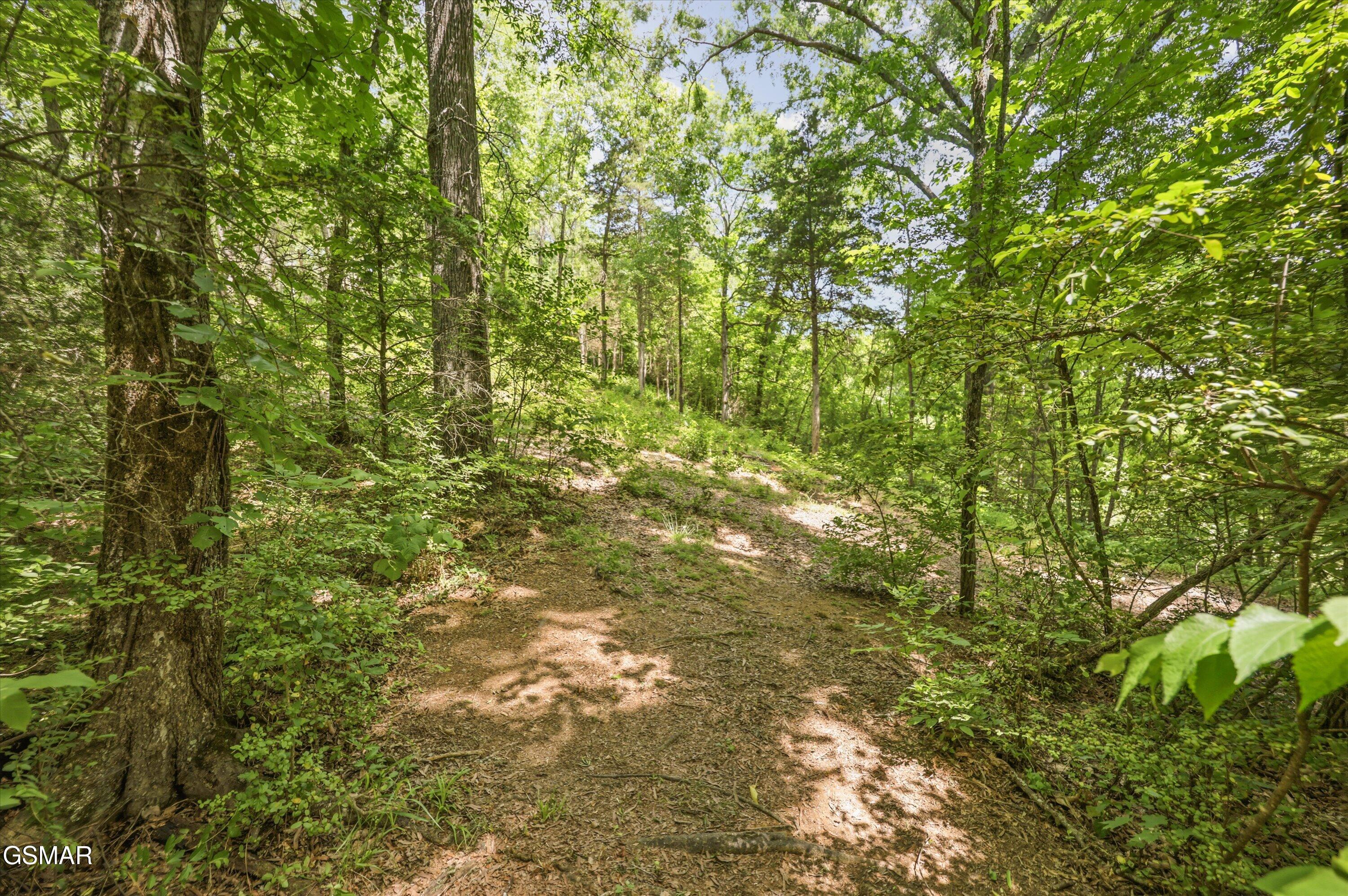 320 Cherry Hill Way Newport TN 37821