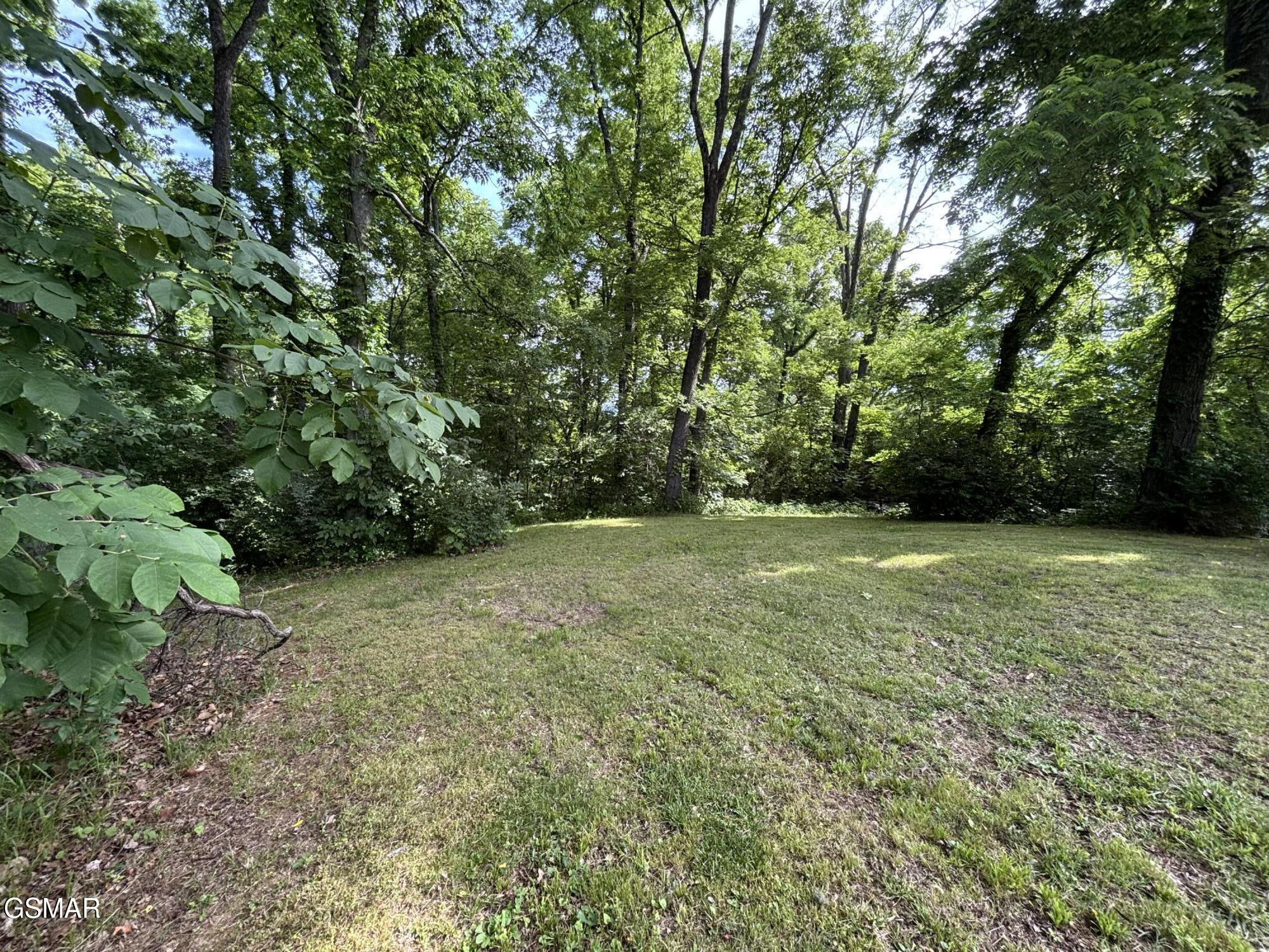 320 Cherry Hill Way Newport TN 37821