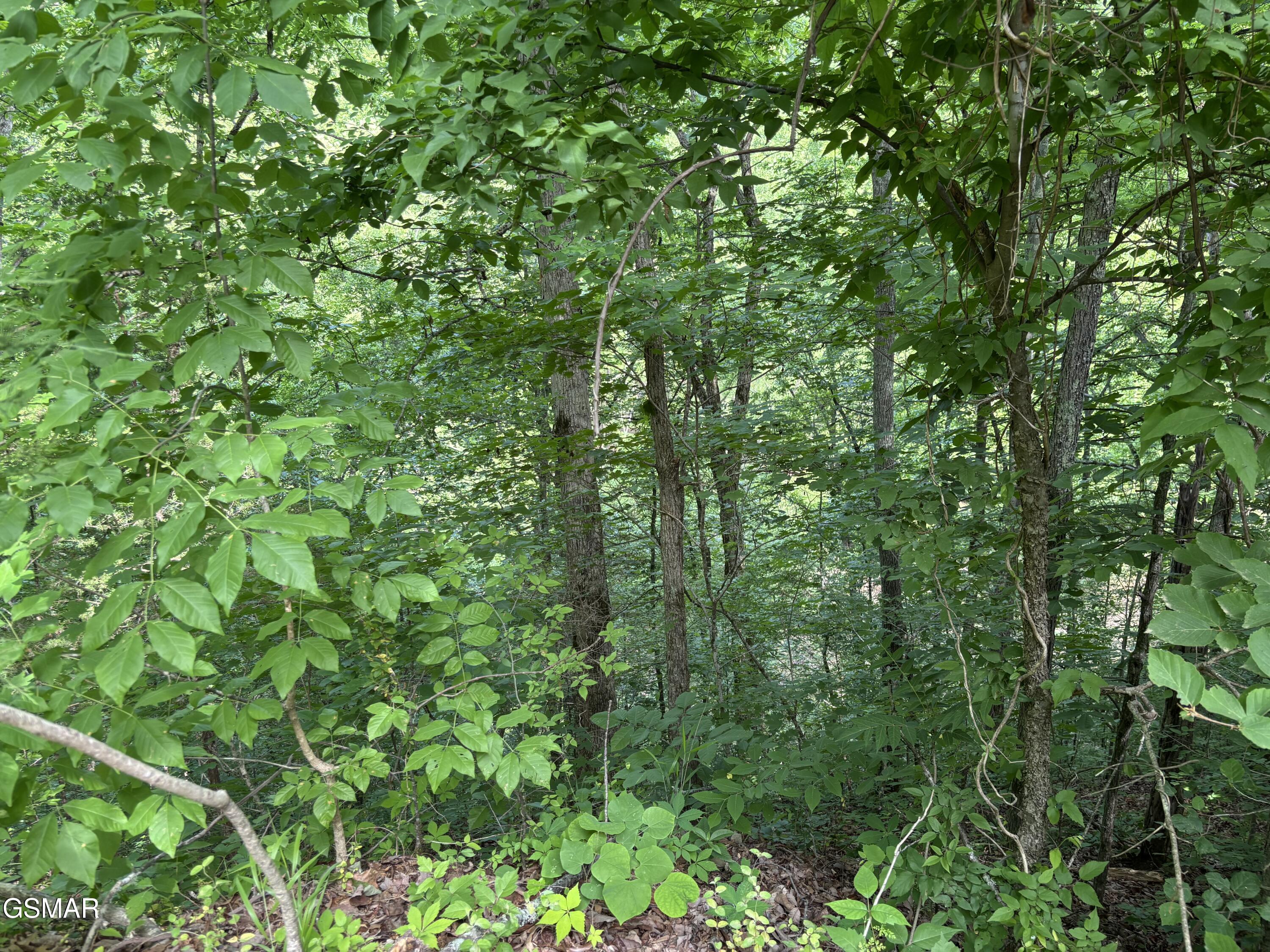 320 Cherry Hill Way Newport TN 37821
