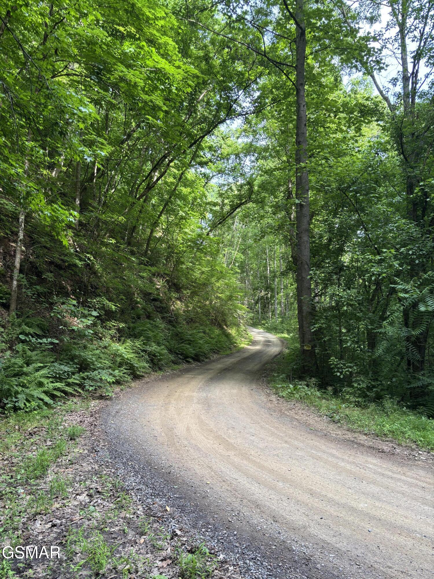 320 Cherry Hill Way Newport TN 37821