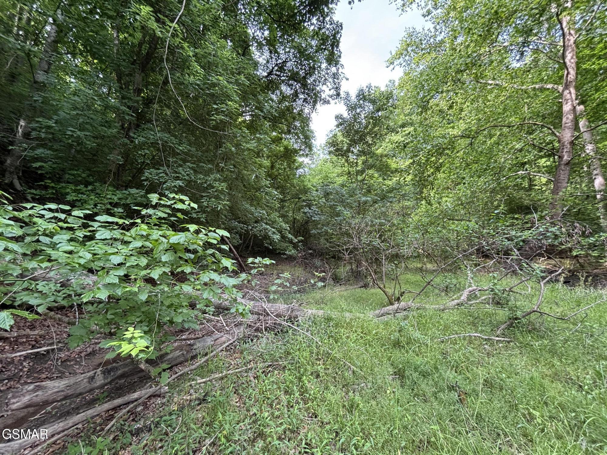 320 Cherry Hill Way Newport TN 37821