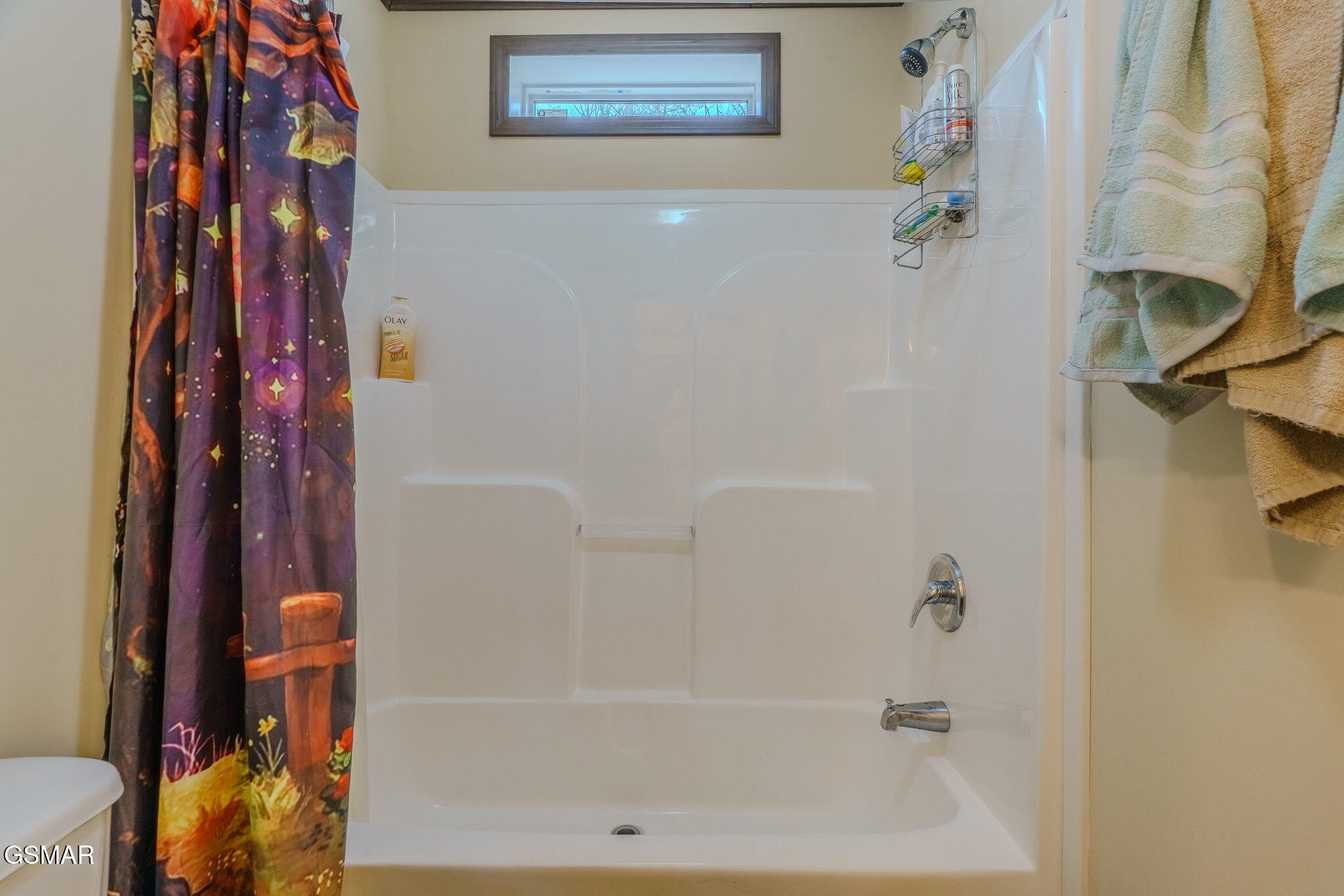 1738 Dumplin Loop Road New Market TN 37820