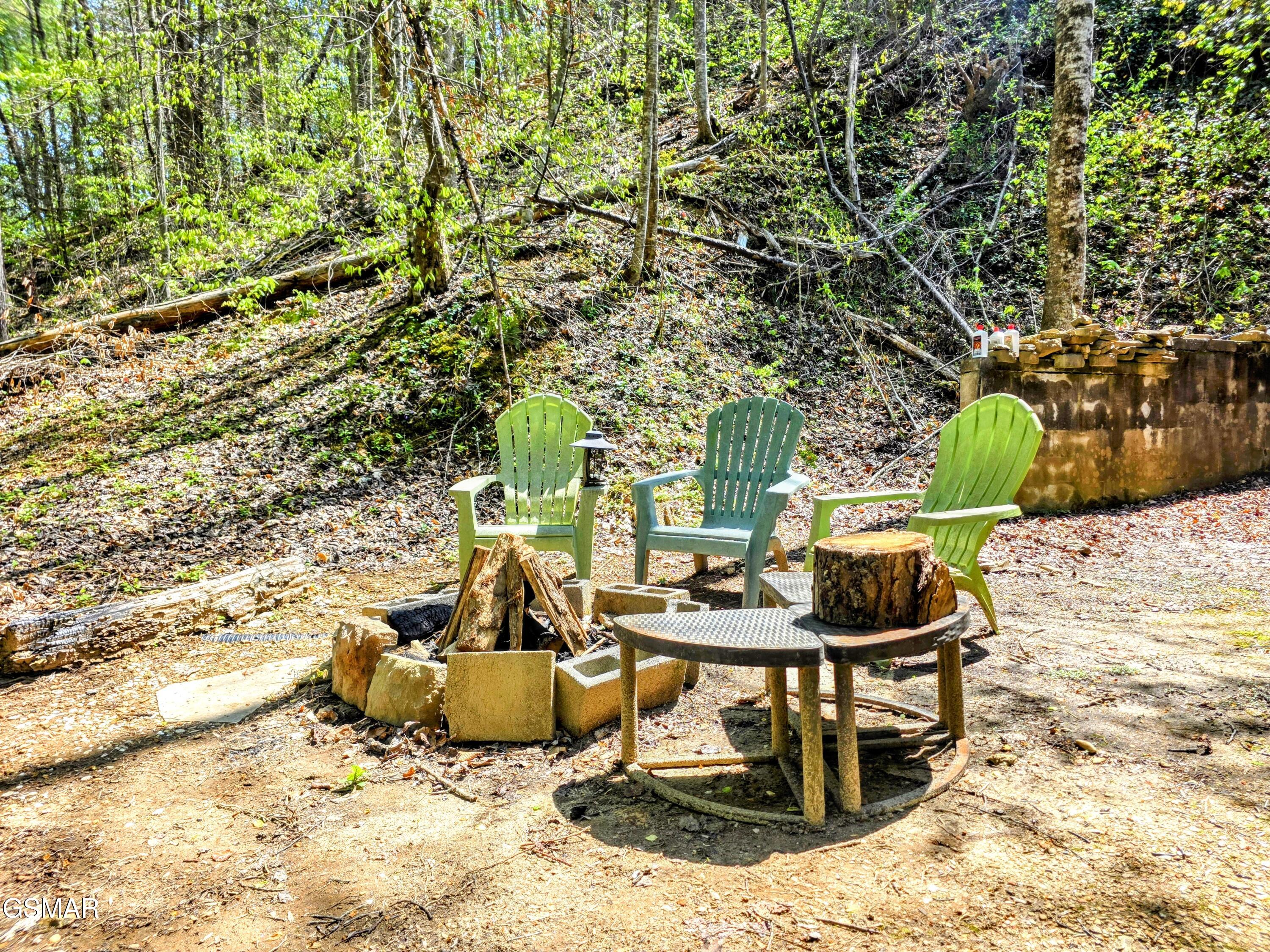 8540 Towns End Lane Townsend TN 37882