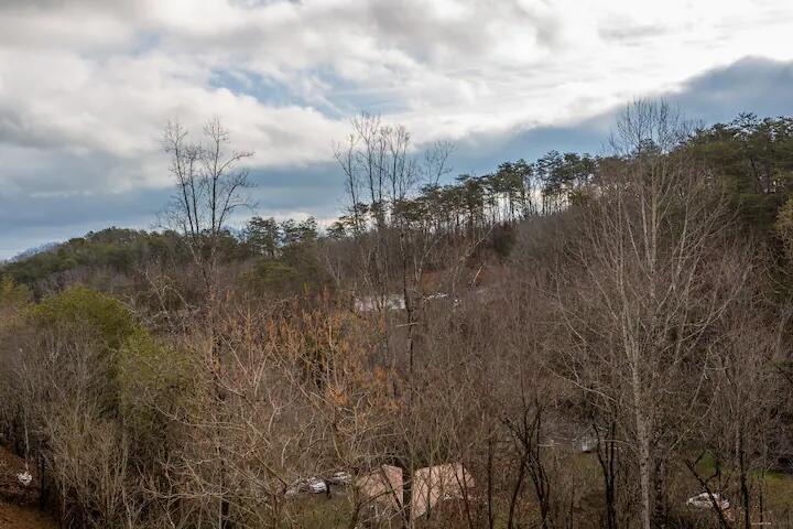 858 Osprey Way Pigeon Forge TN 37863