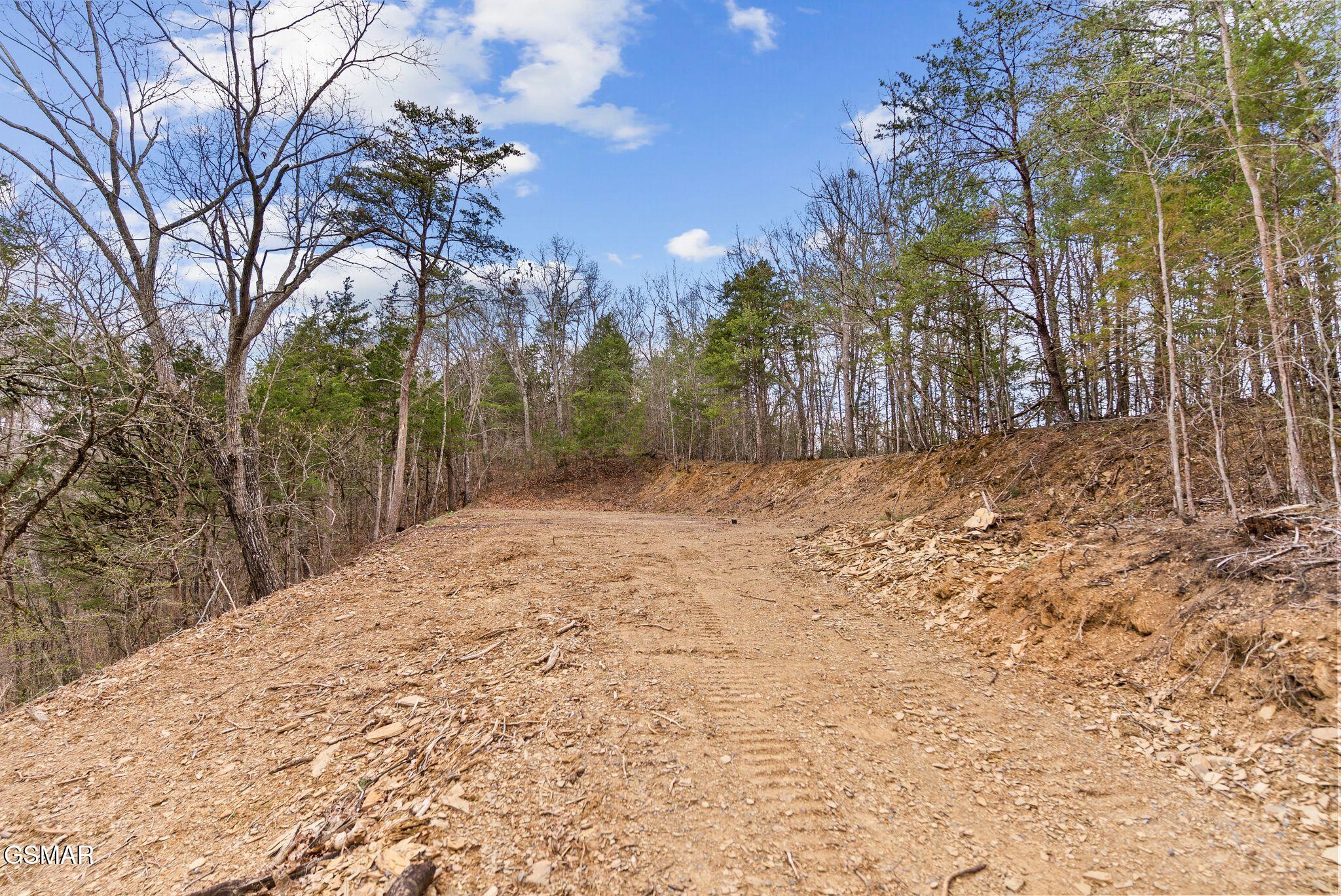 197 Ruth Lane Sevierville TN 37862