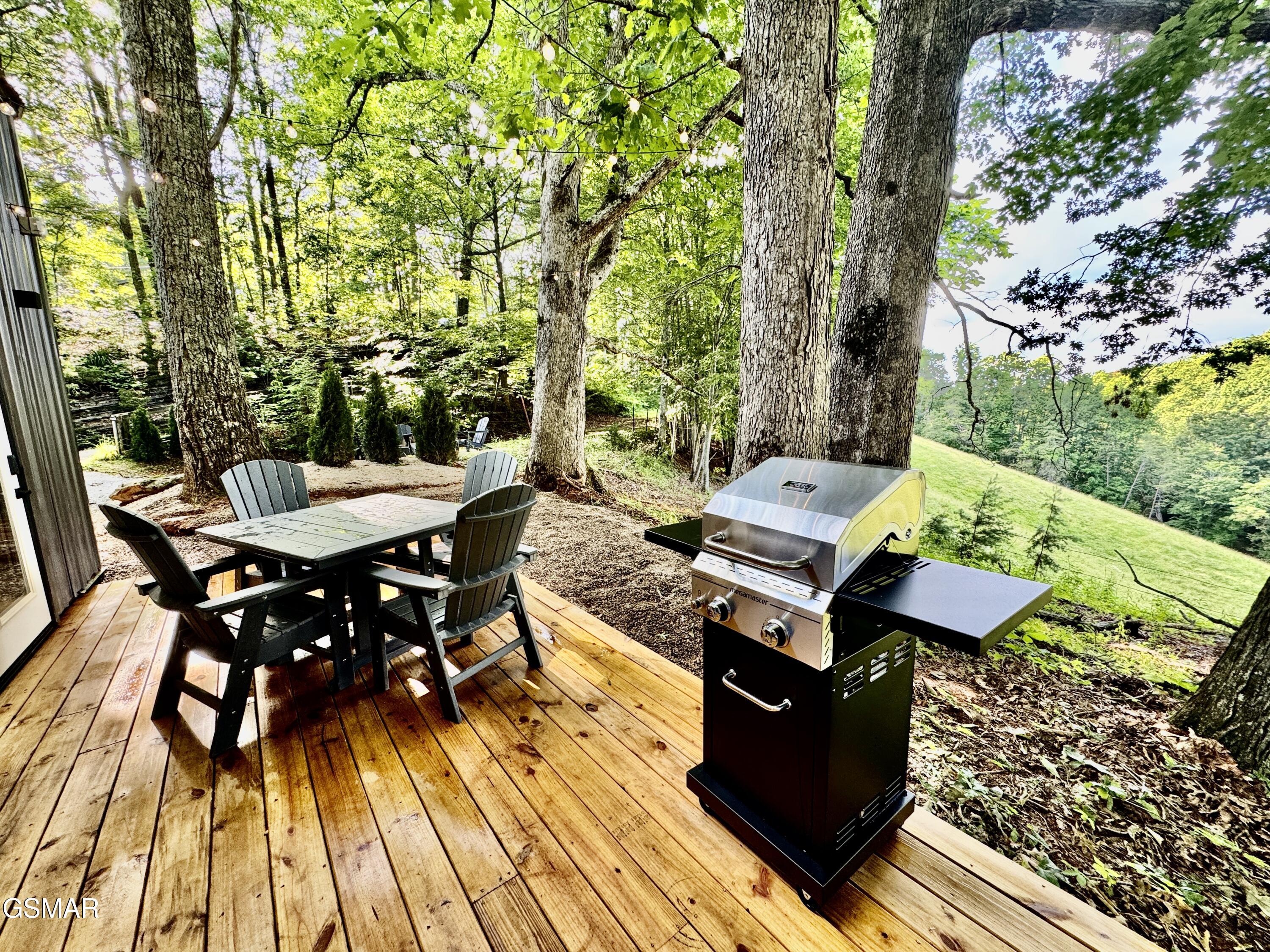 3843 Heavens View Lane Sevierville TN 37876