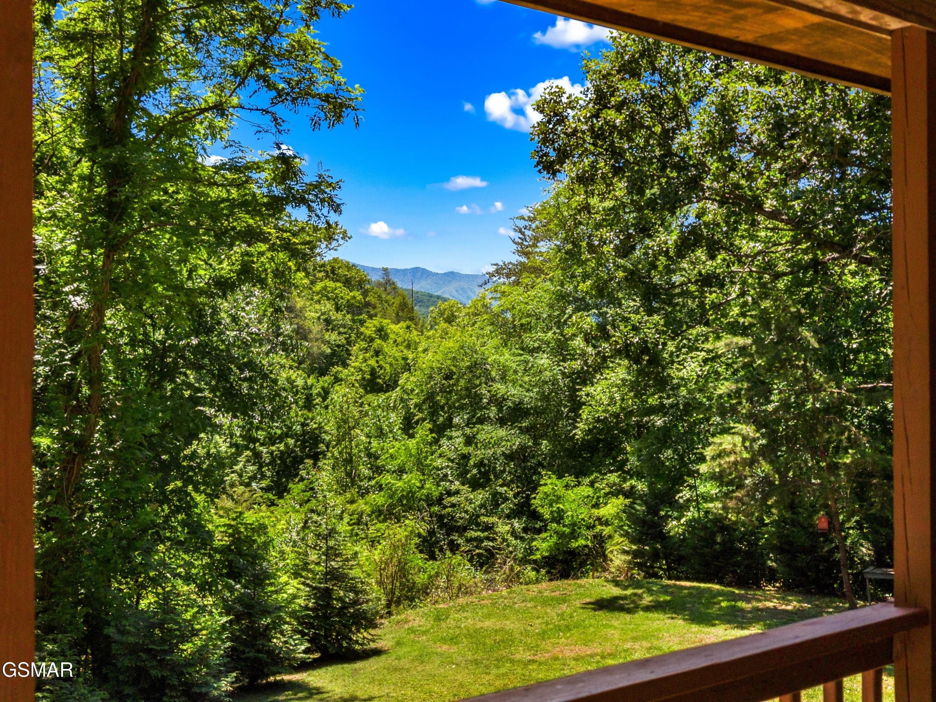 3009 Winding Way Cosby TN 37722