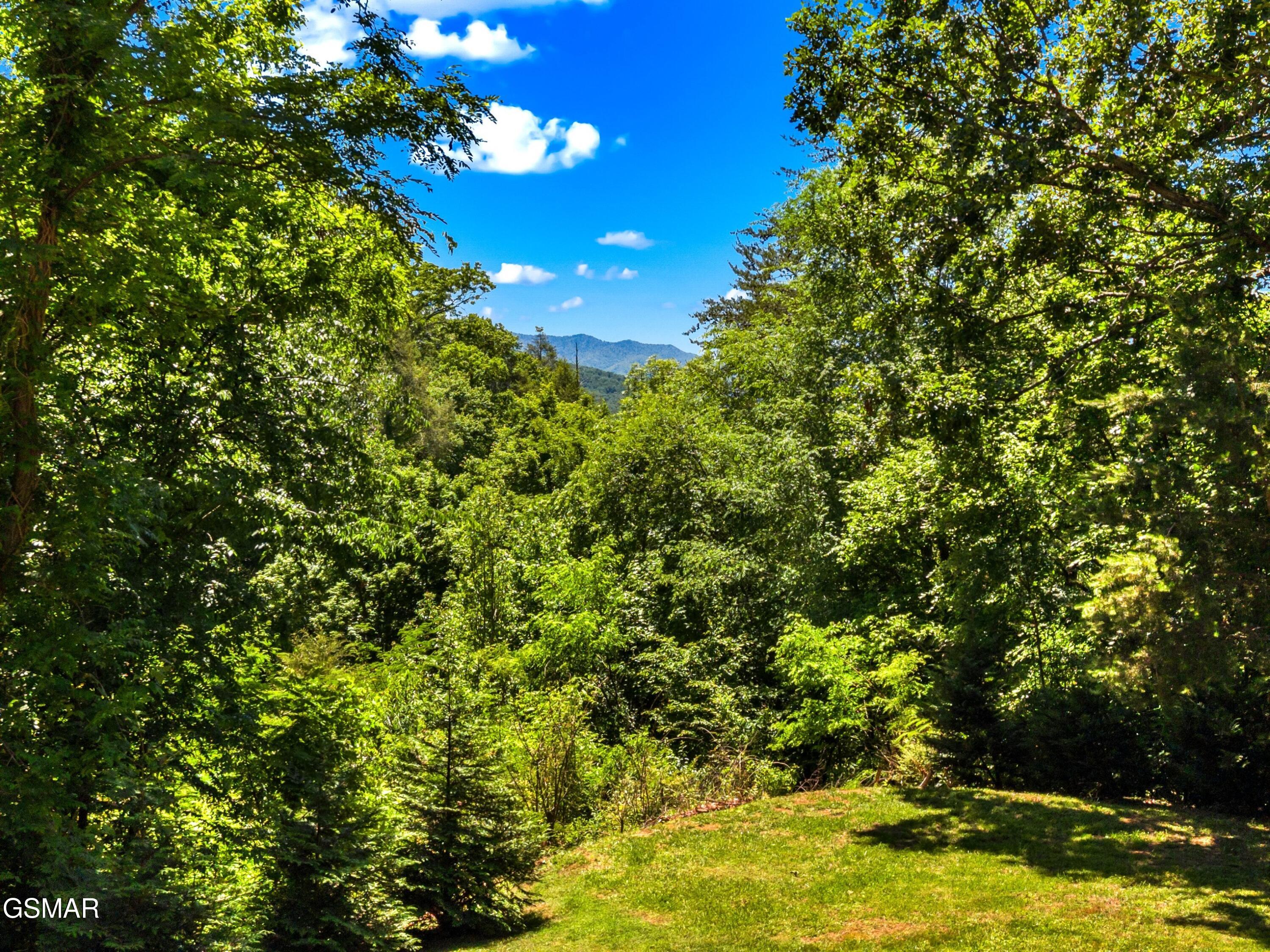 3009 Winding Way Cosby TN 37722