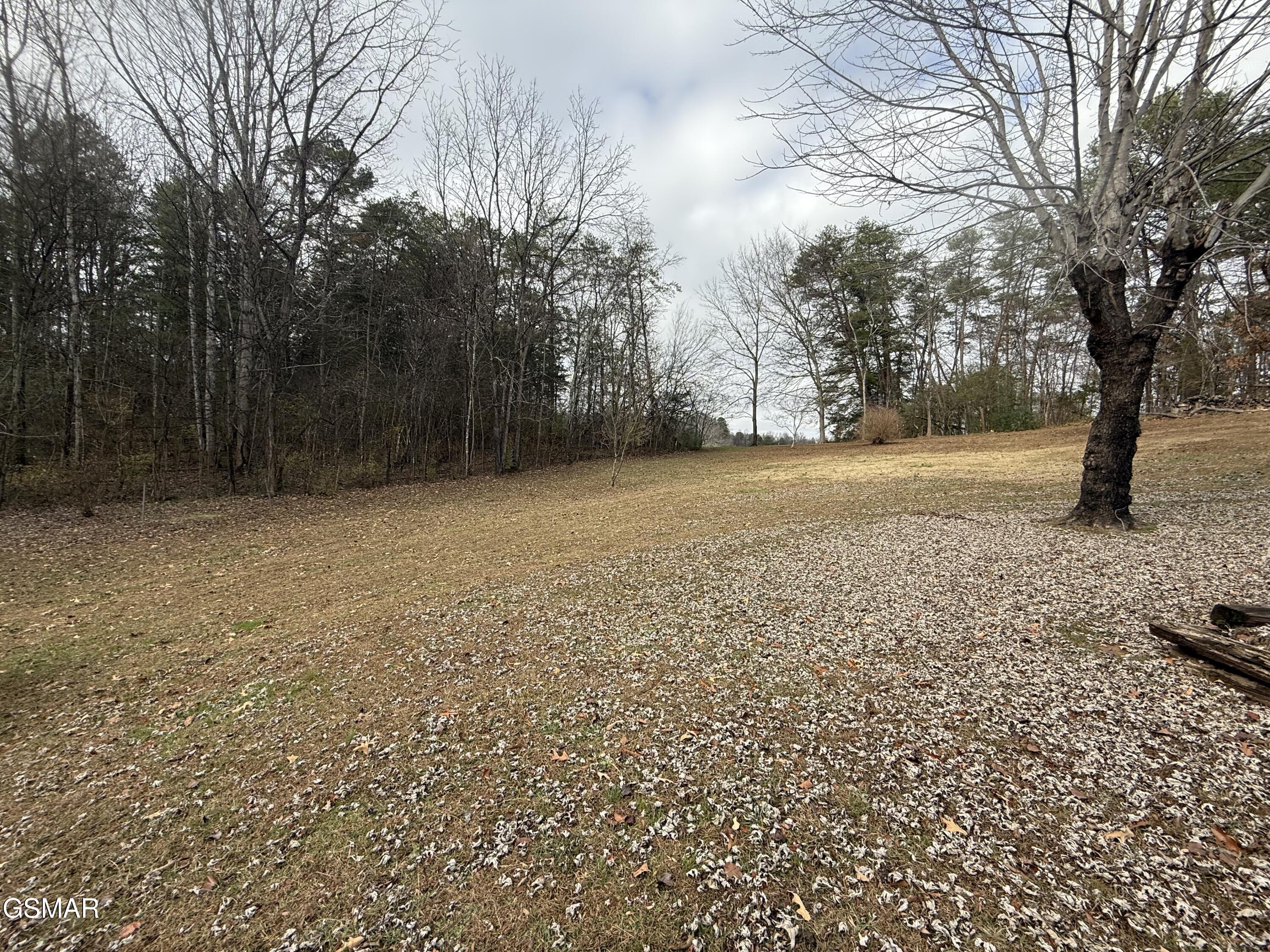 1342 Edwina-bridgeport Road Newport TN 37821