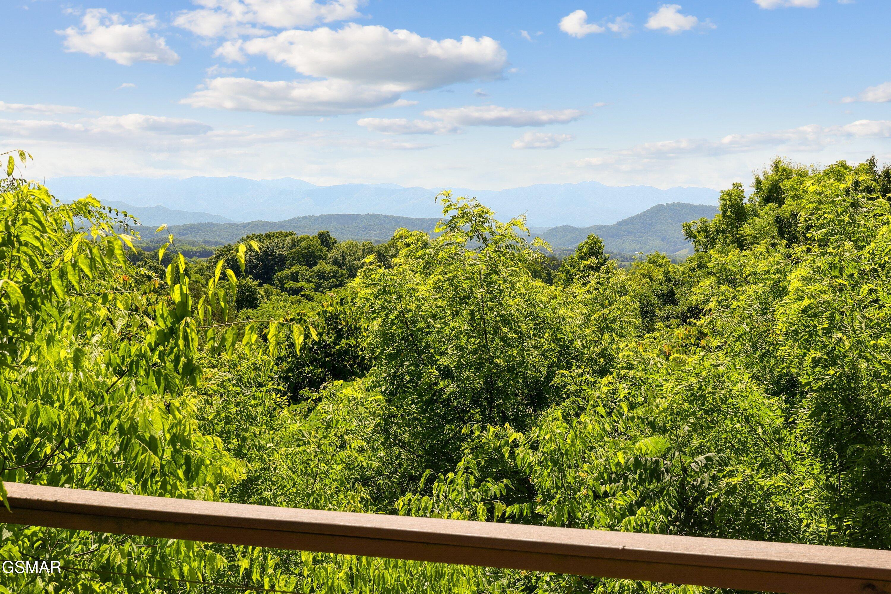 151 Ruth Lane Sevierville TN 37862