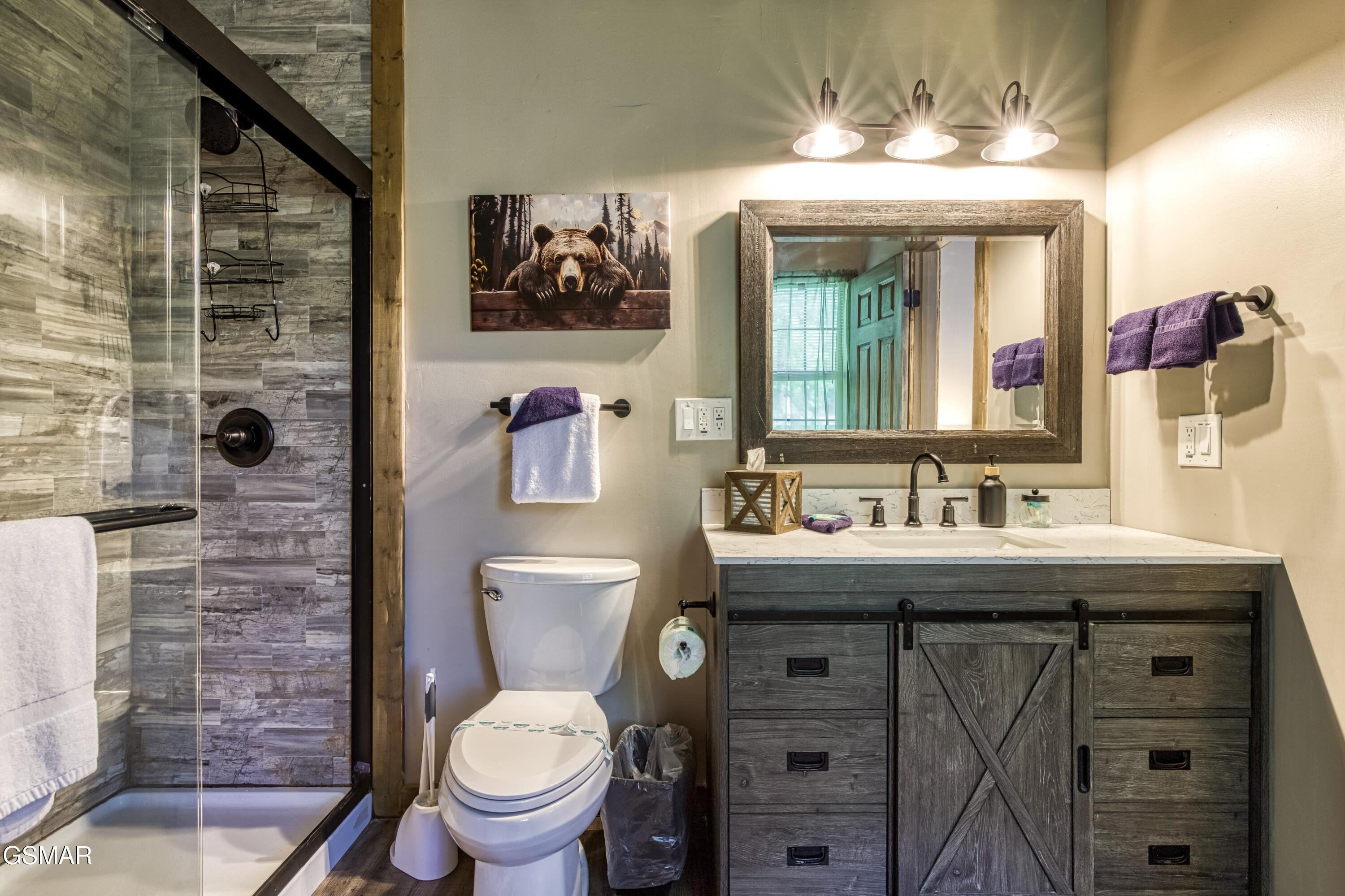 4256/4260 New Pioneer Trail Pigeon Forge TN 37863