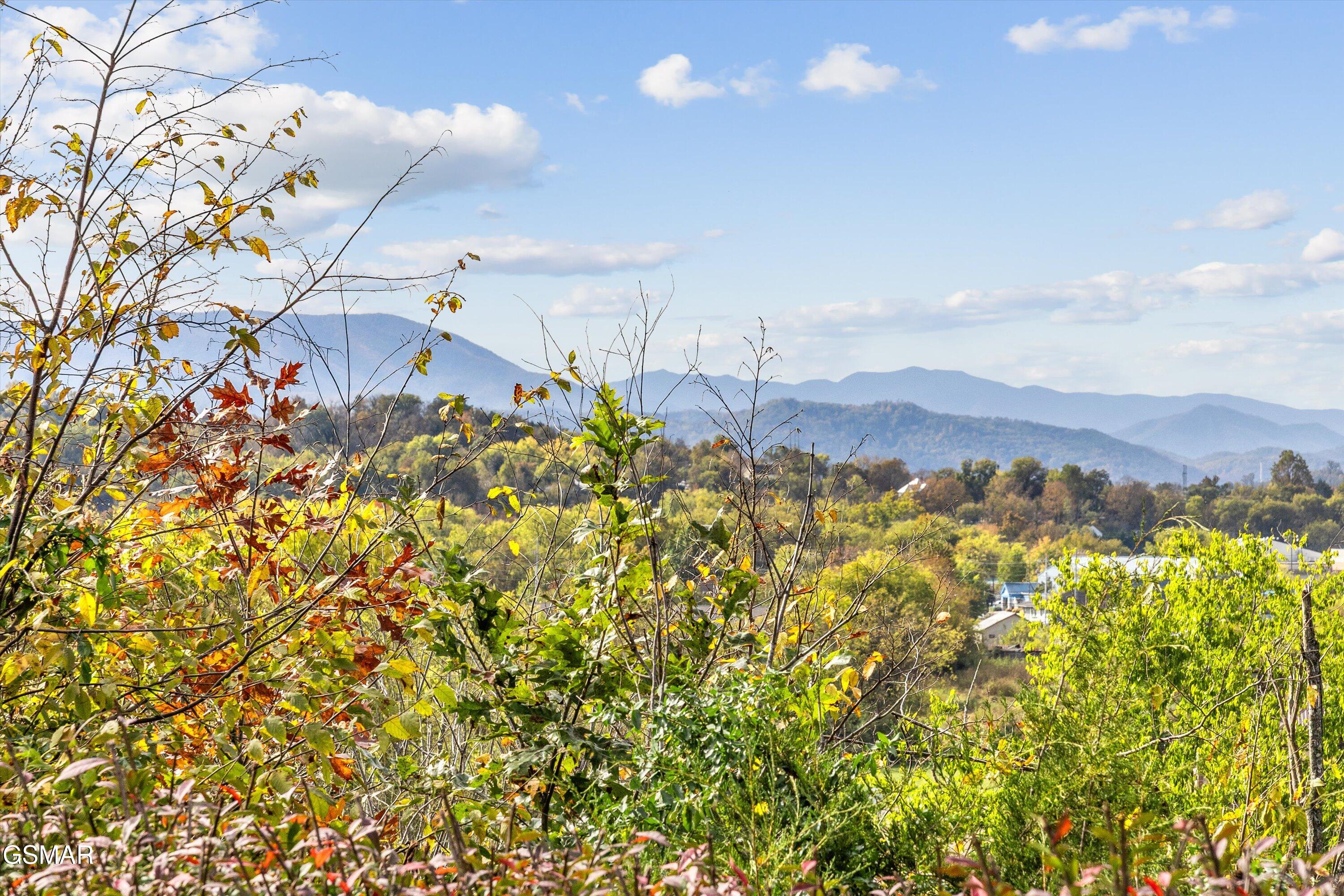 339 Riverdale Drive Sevierville TN 37862