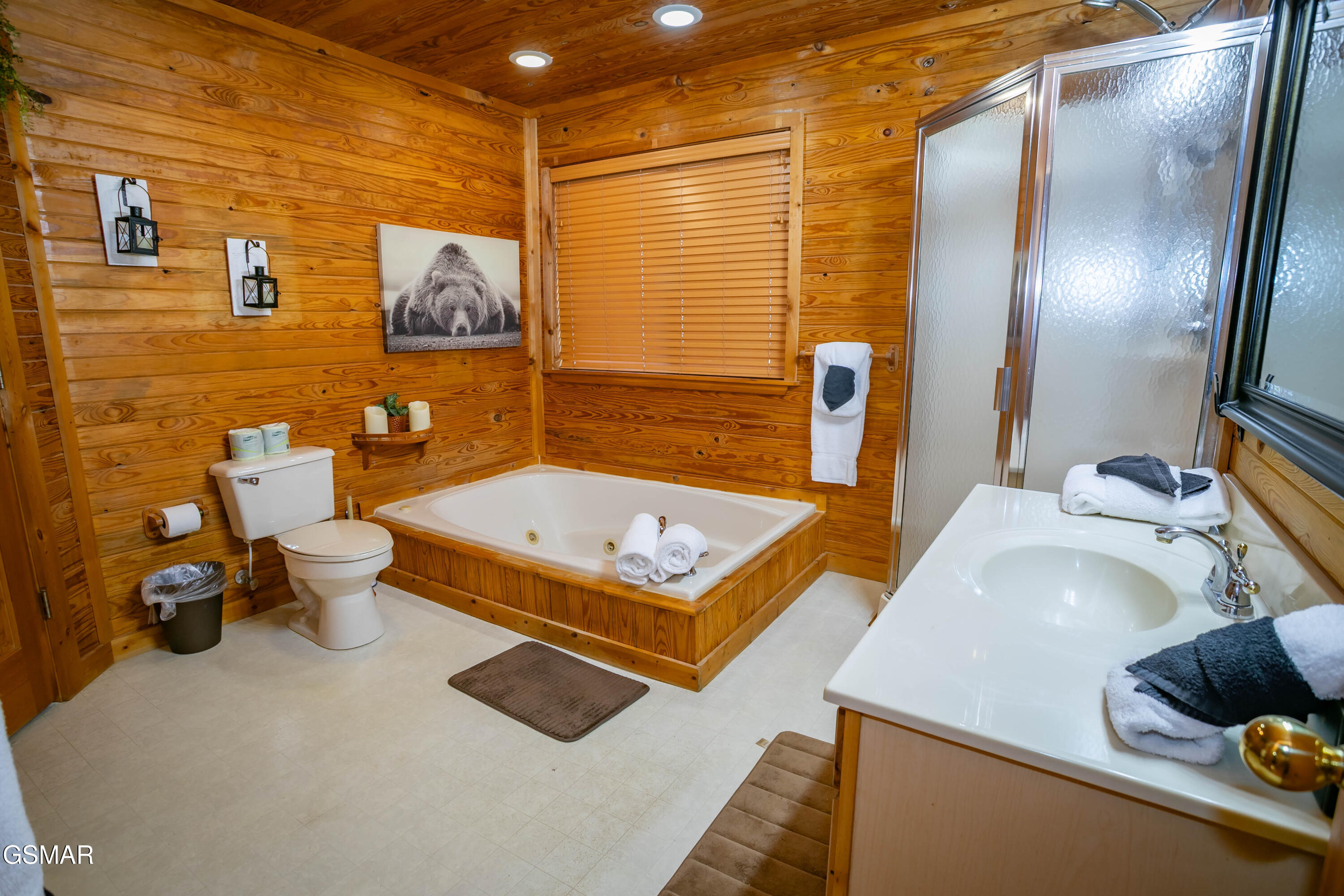 3849 Saddle Brook Way Sevierville TN 37862